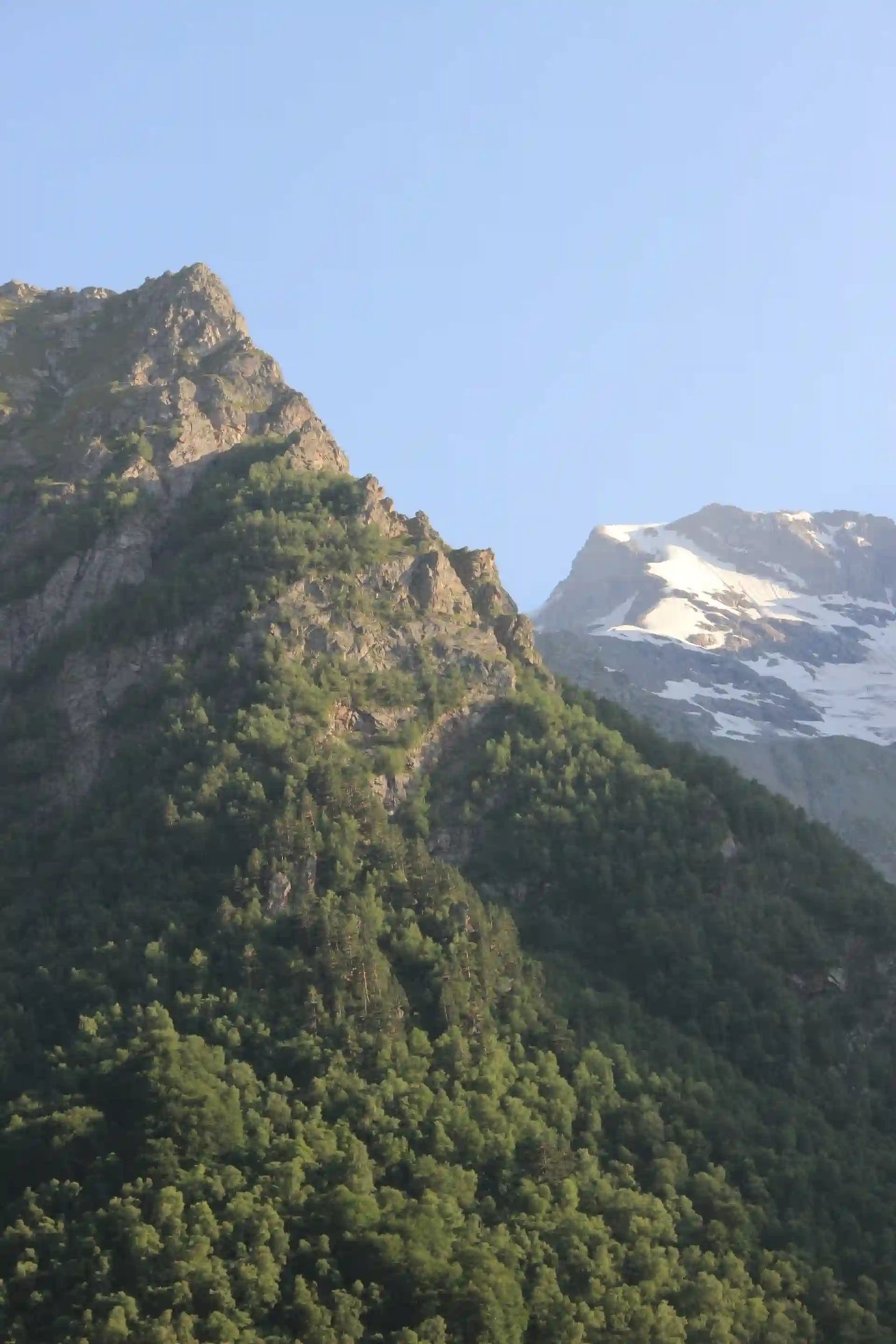 a very tall mountain covered in lots of green trees