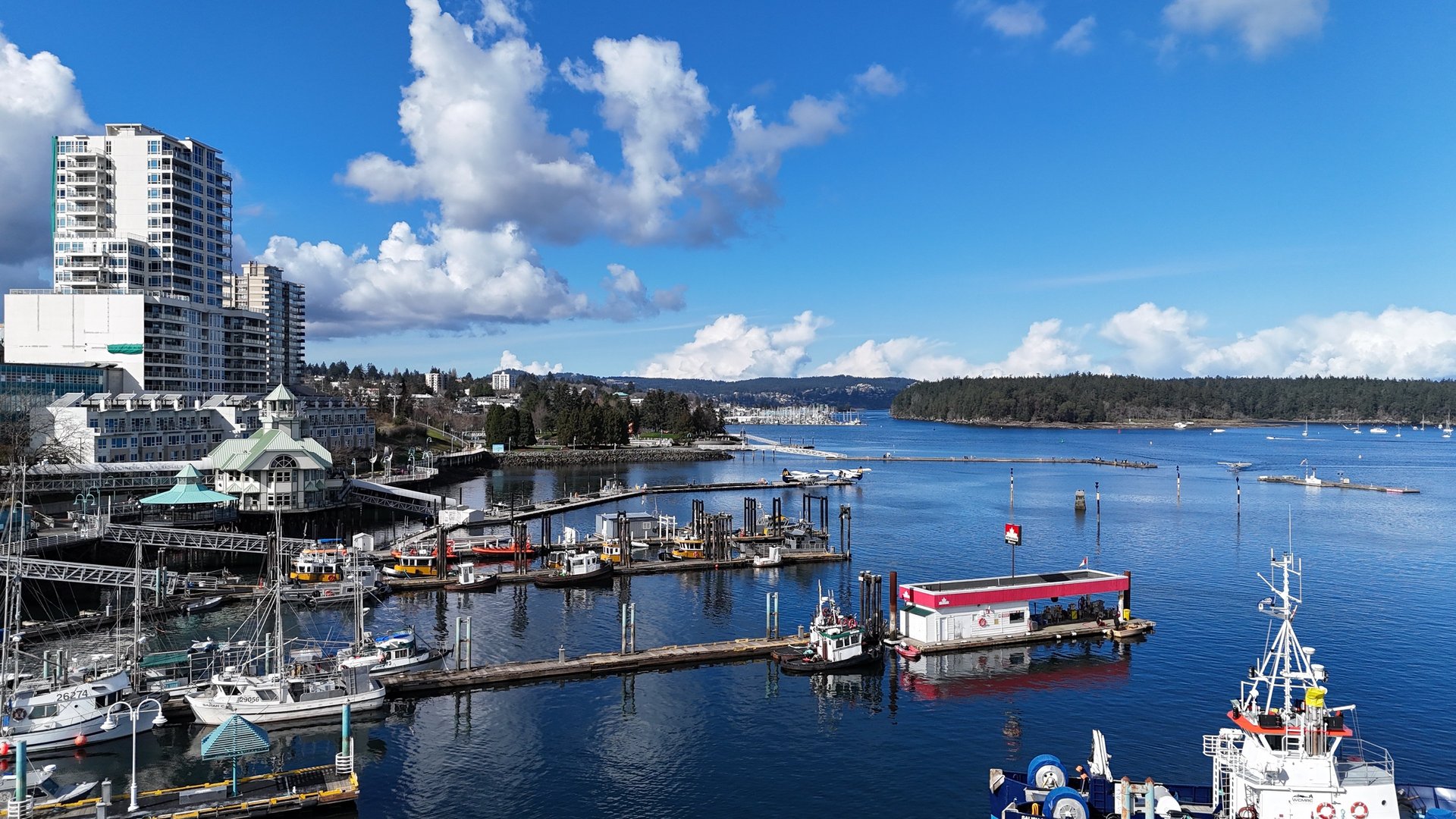 black and white bed linen