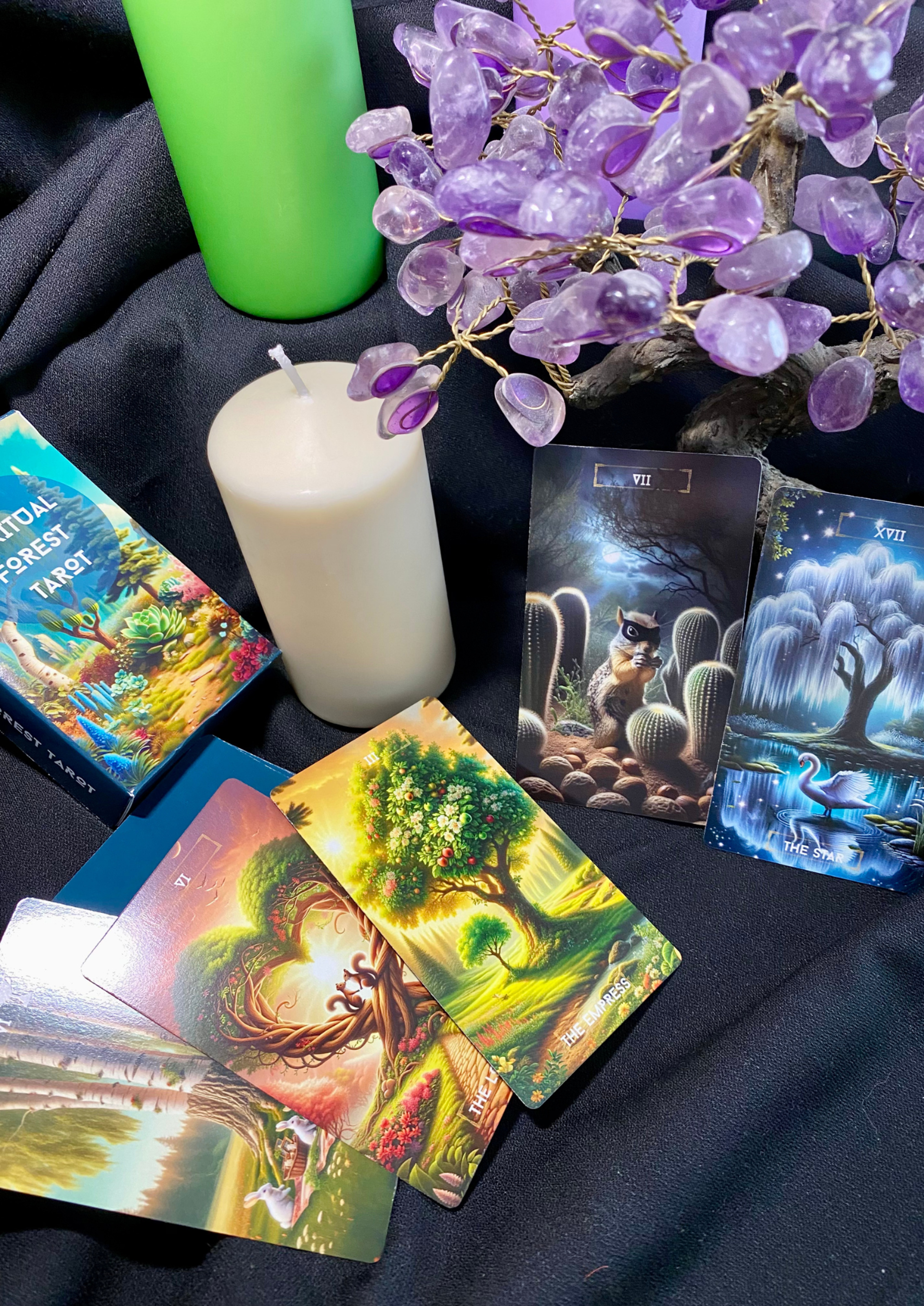 tarot reading
