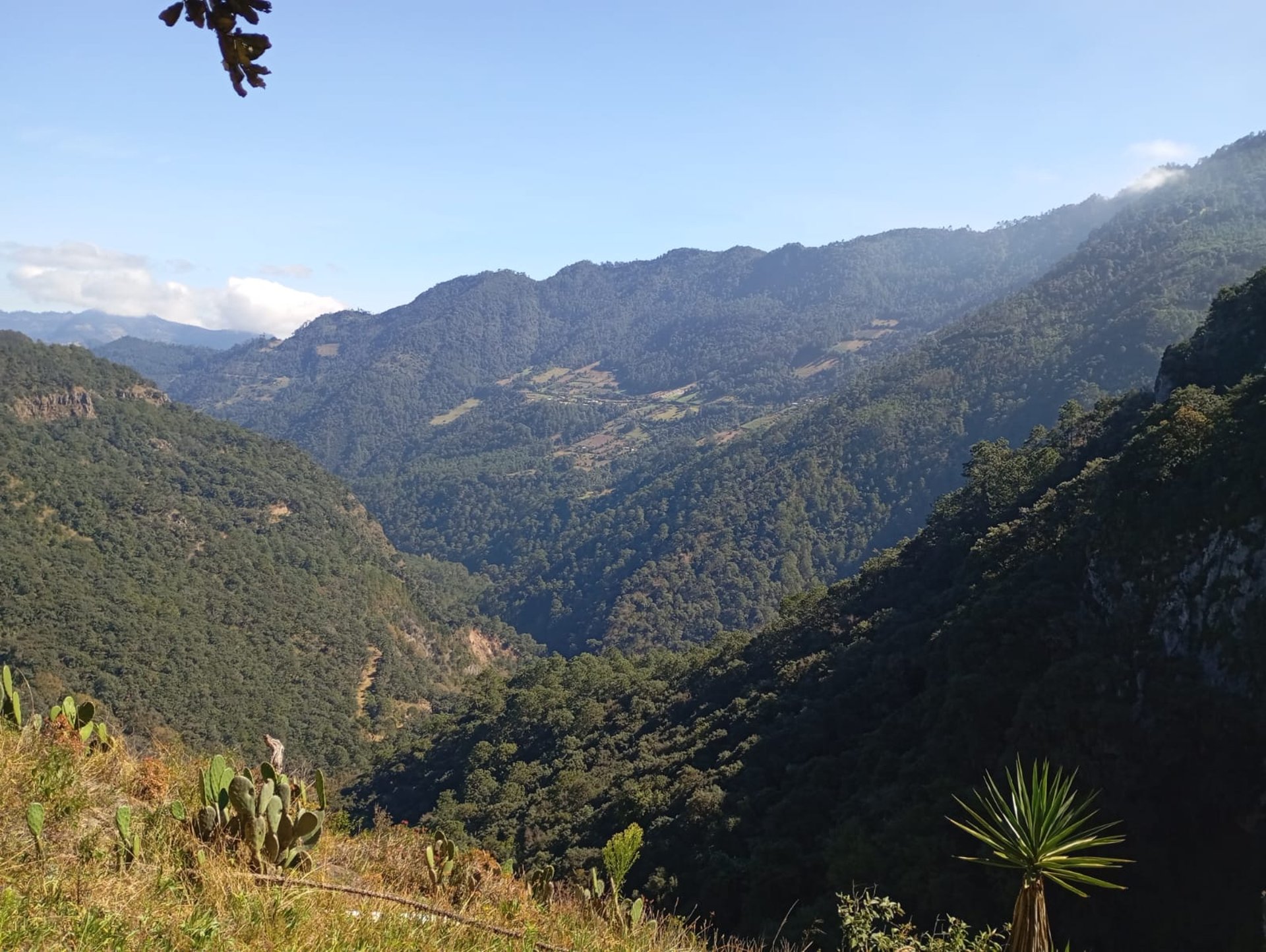 woman wearing yellow long-sleeved dress under white clouds and blue sky during daytime