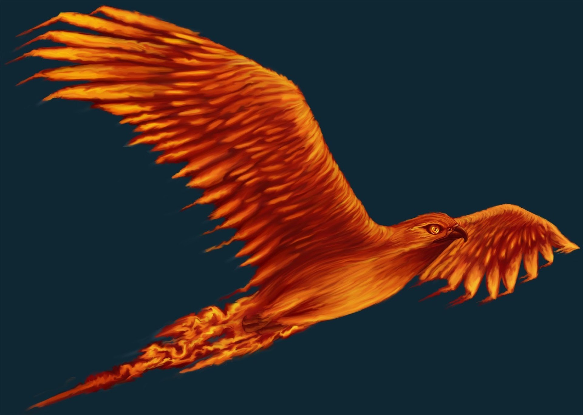 selective focus photography of bird flapping wings