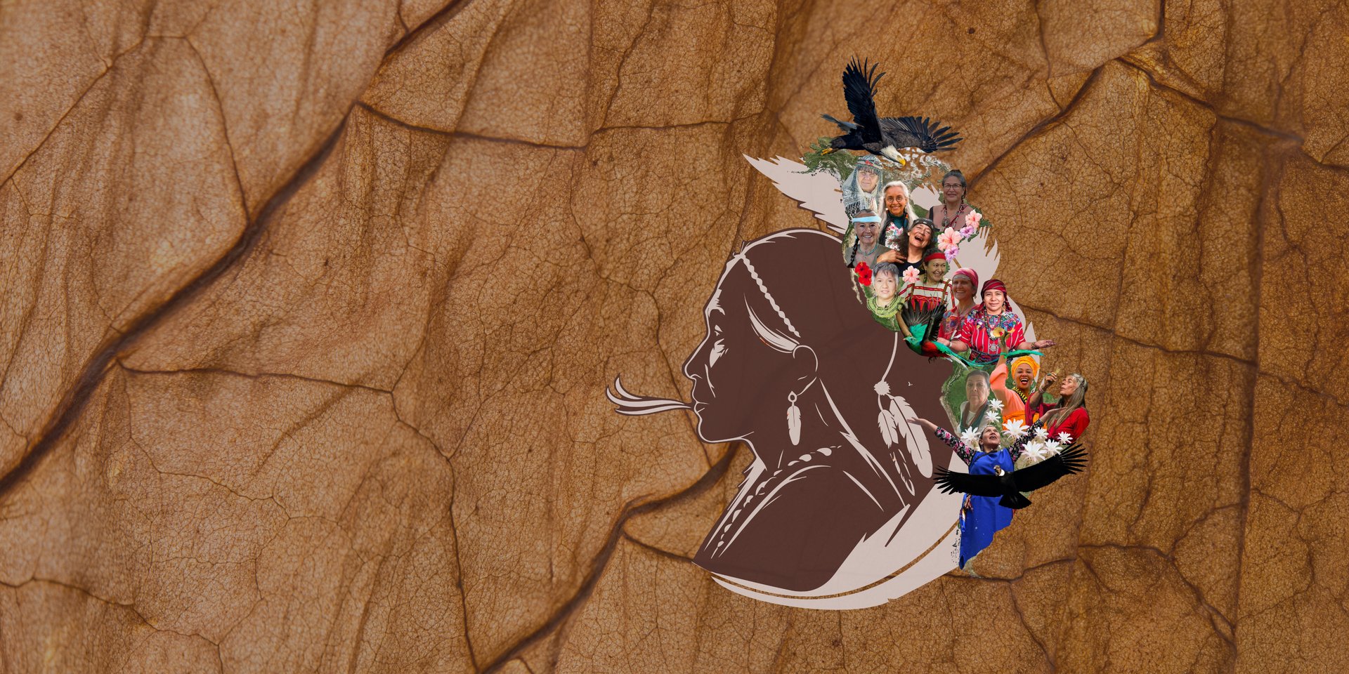 Abuelas sabias del continente americano