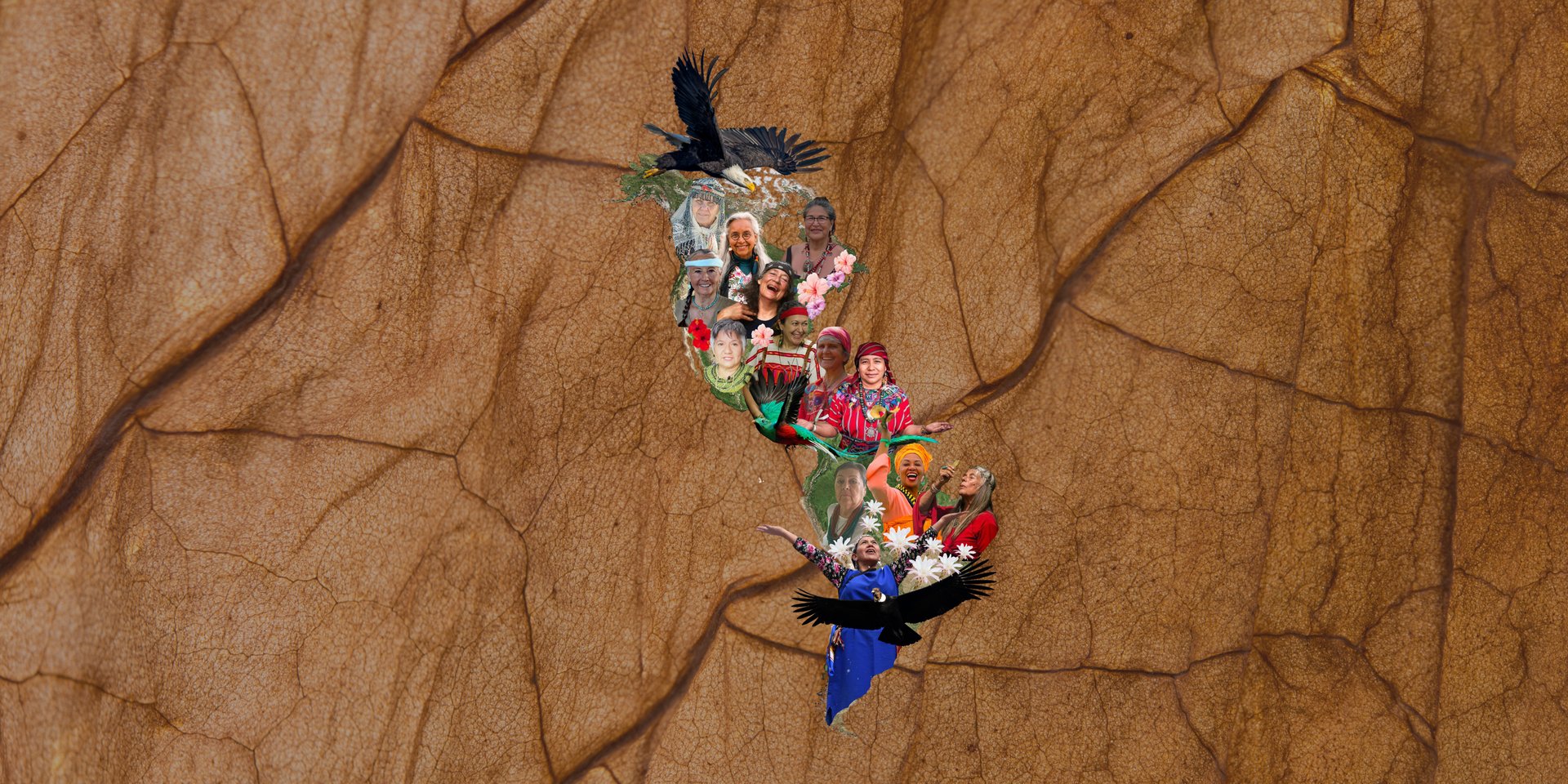 Abuelas sabias del continente americano