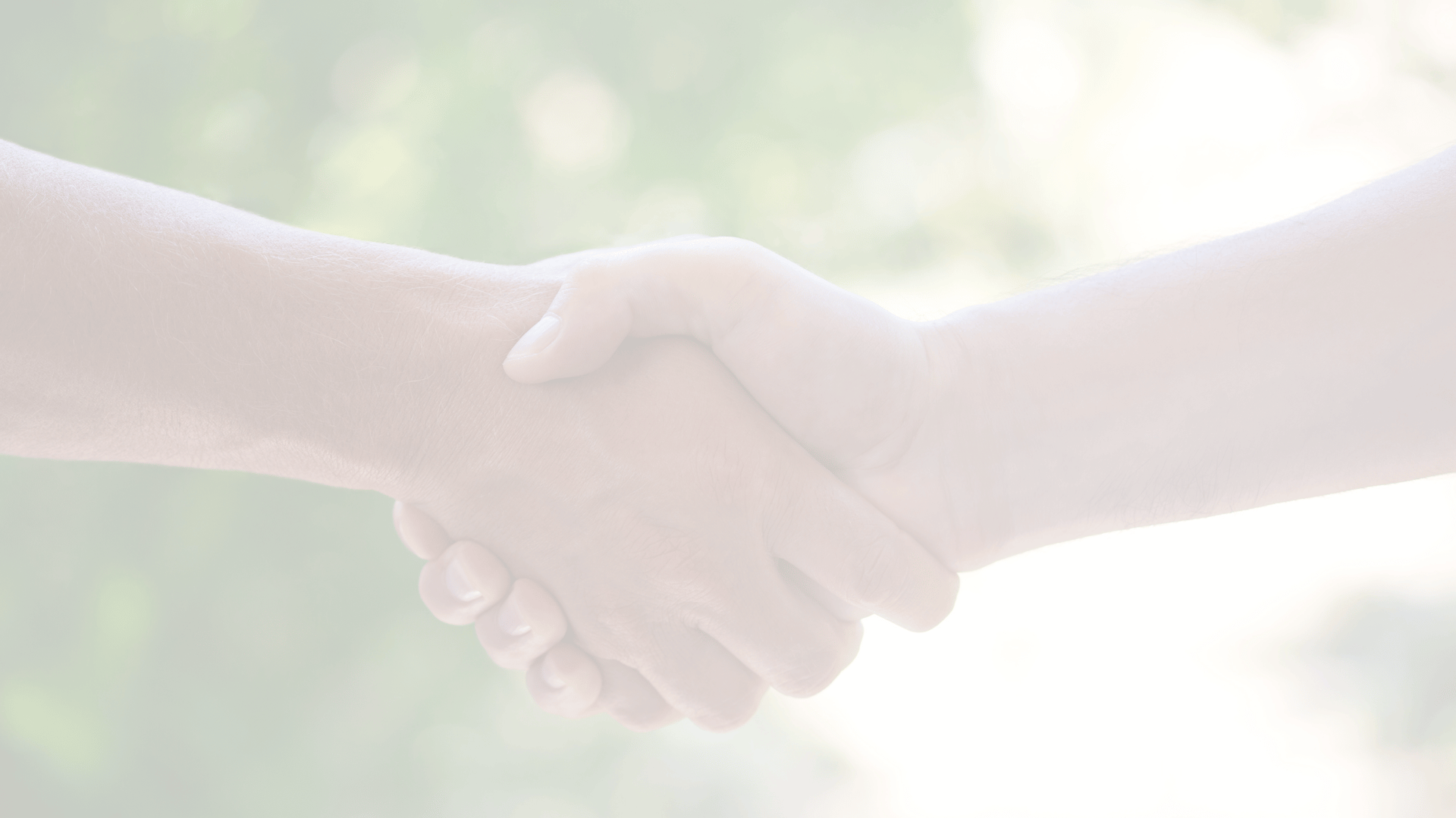 person holding hands of another person
