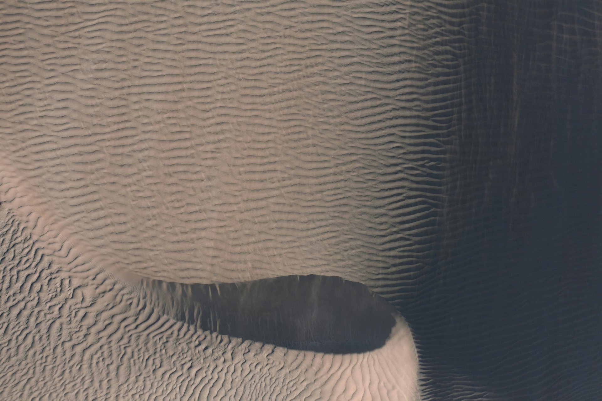 mahoni-sichtbarkeitspakete