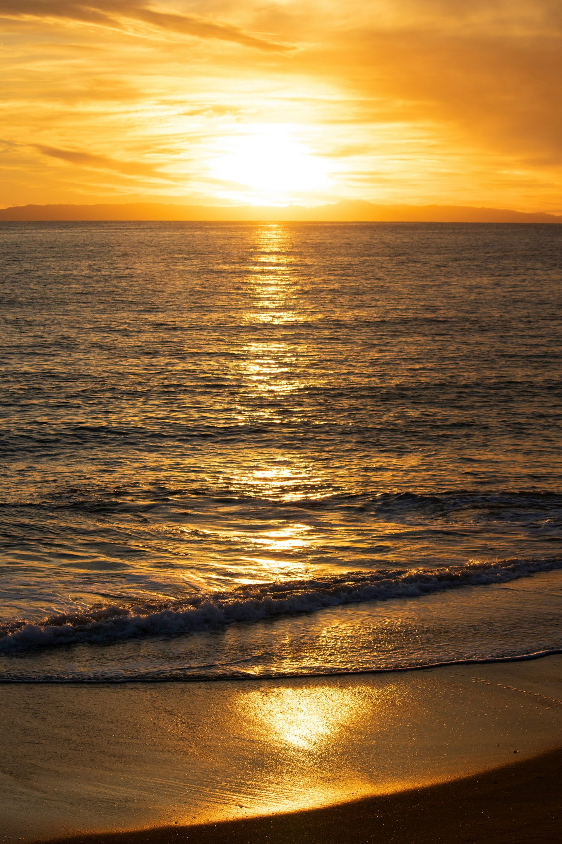 mahoni-specials-journal-kalender