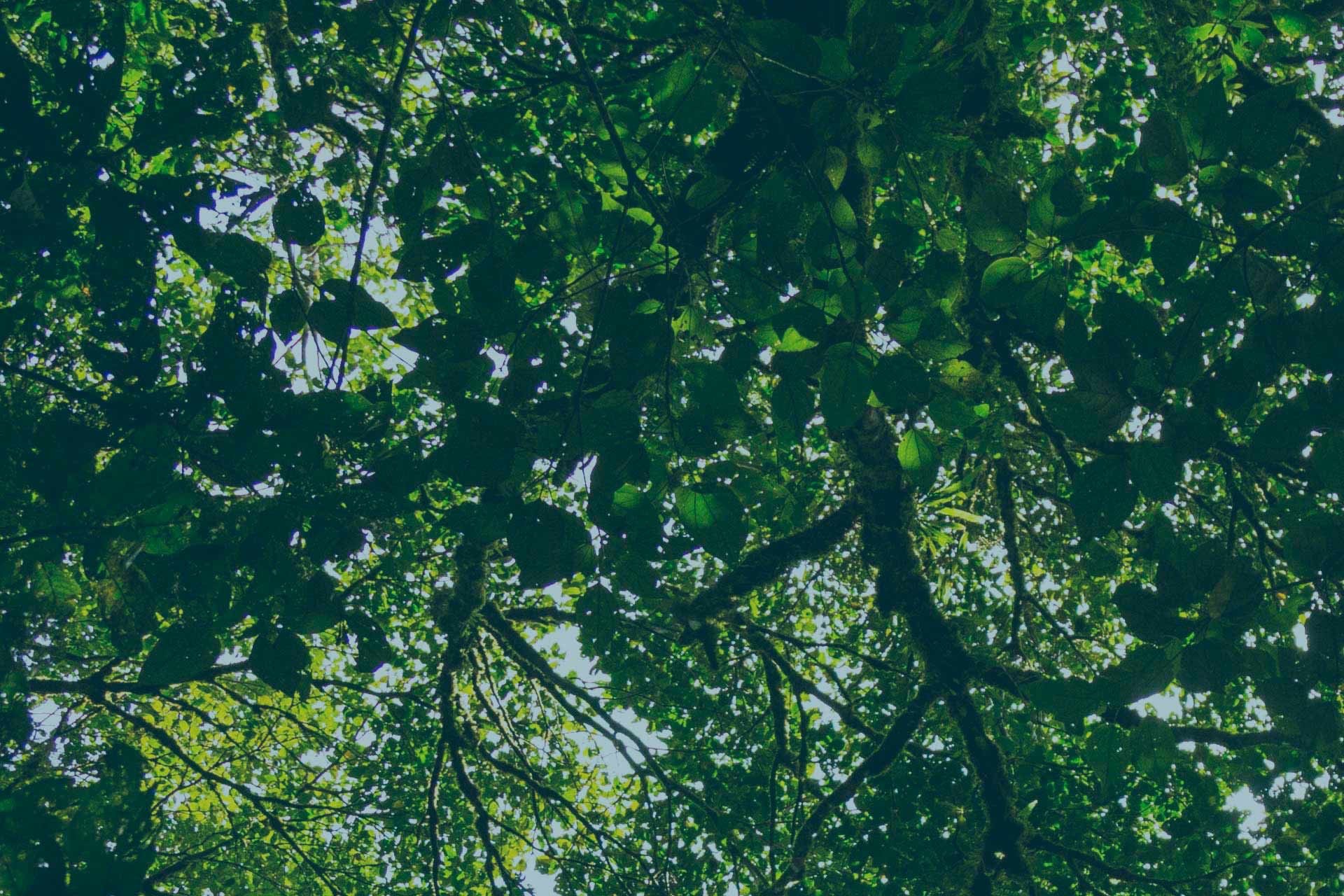 gray computer monitor