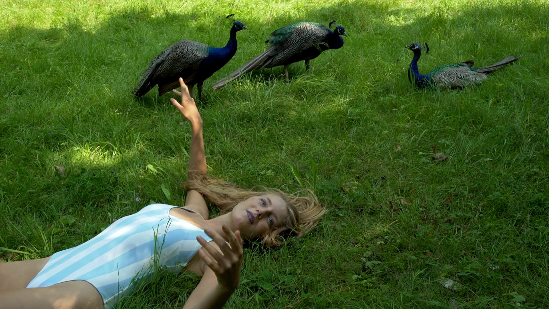 Woman lying on the grass surrounded by peacocks, still from Nostalgia by Tina Bikic.
