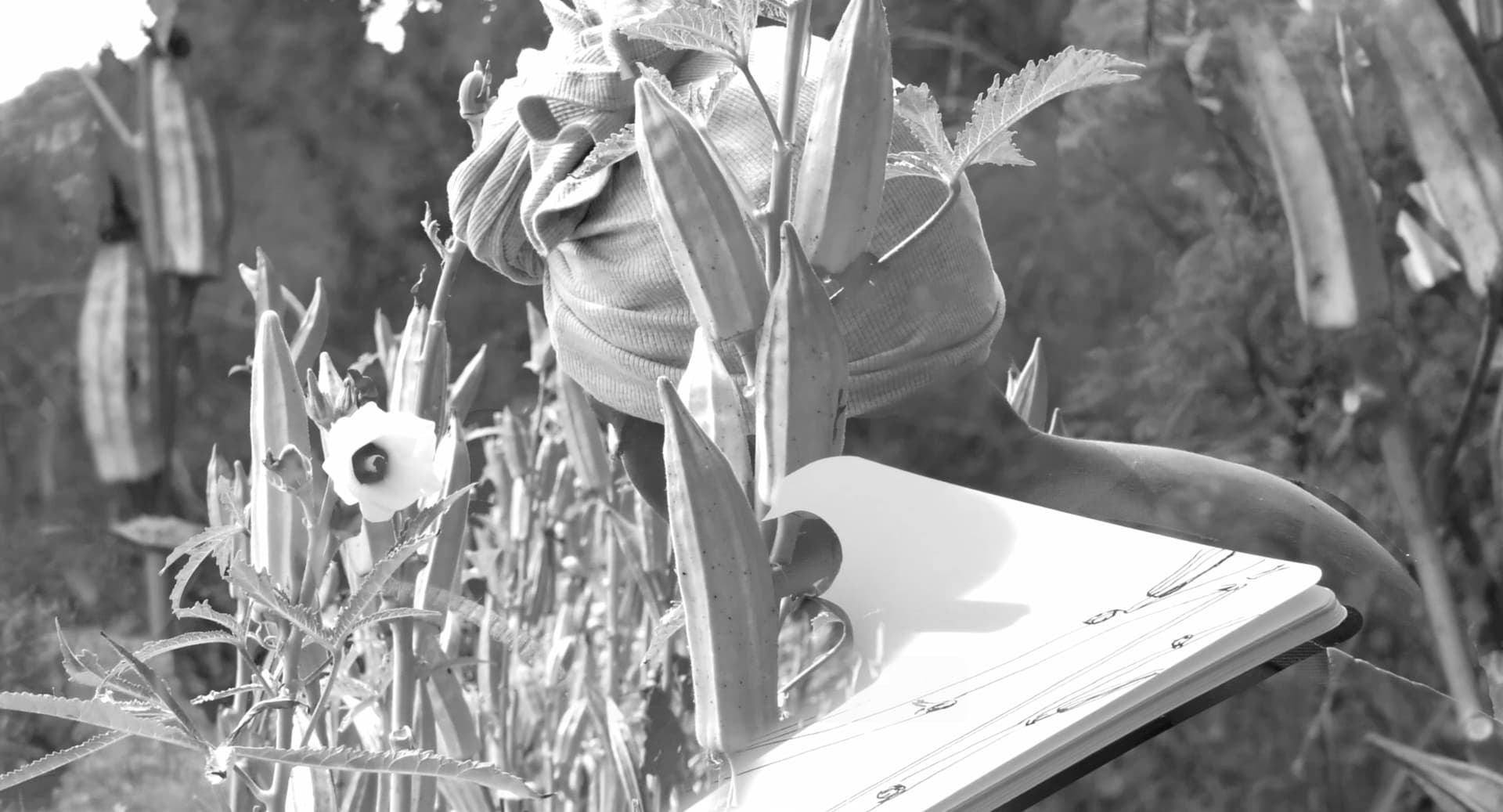 Poetical Digital Storytelling by Tina Bikic, fragment exploring memory and imagination.