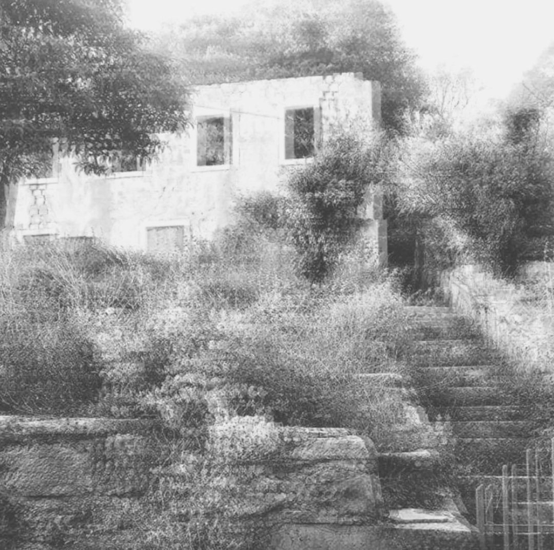 Black and white photograph of an abandoned stone house and overgrown stairs, used as a research header by artist Tina Bikic.