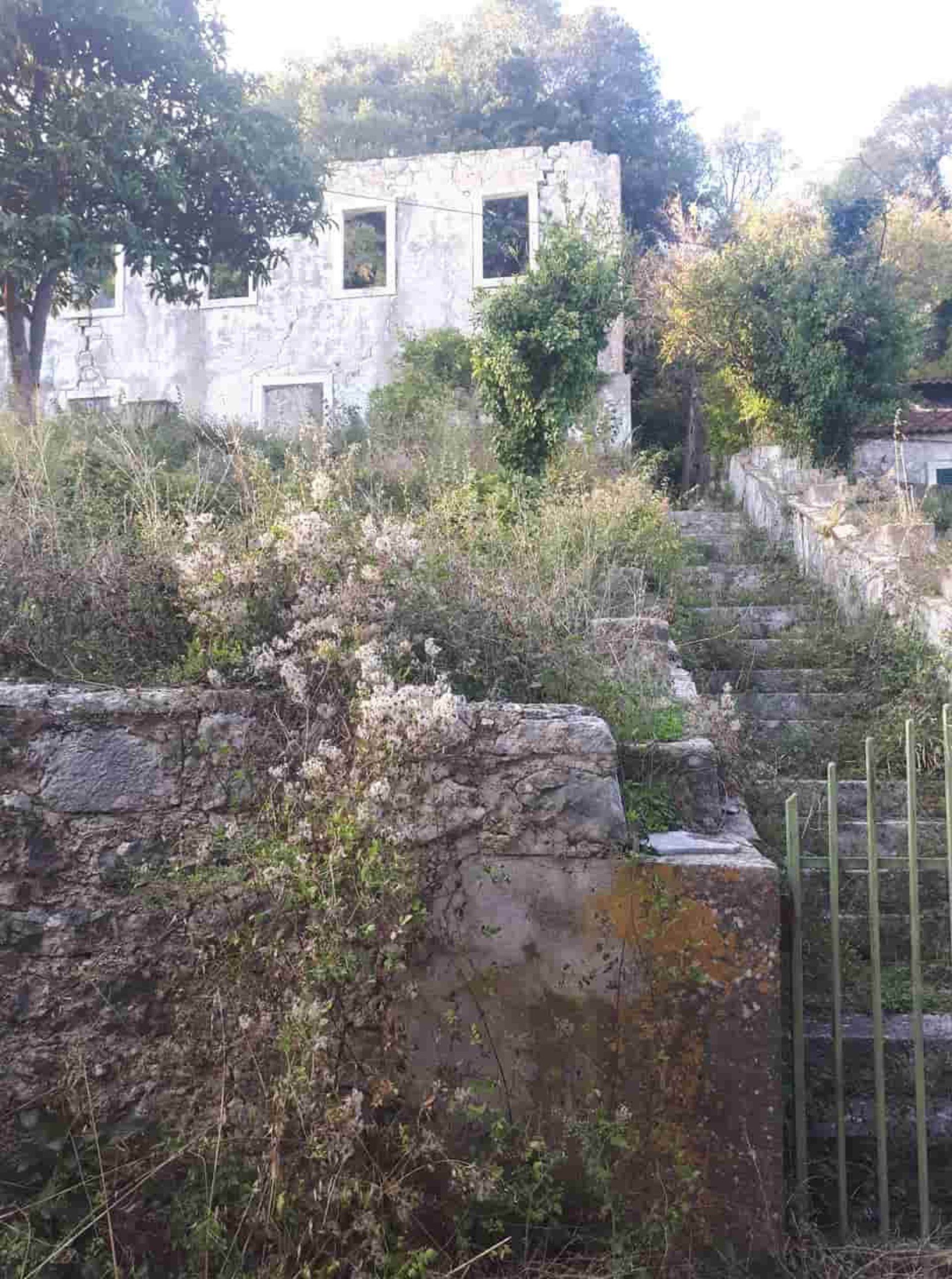 Film still from "Unseen Realities" by Tina Bikic showing an abandoned stone house overgrown with vegetation.