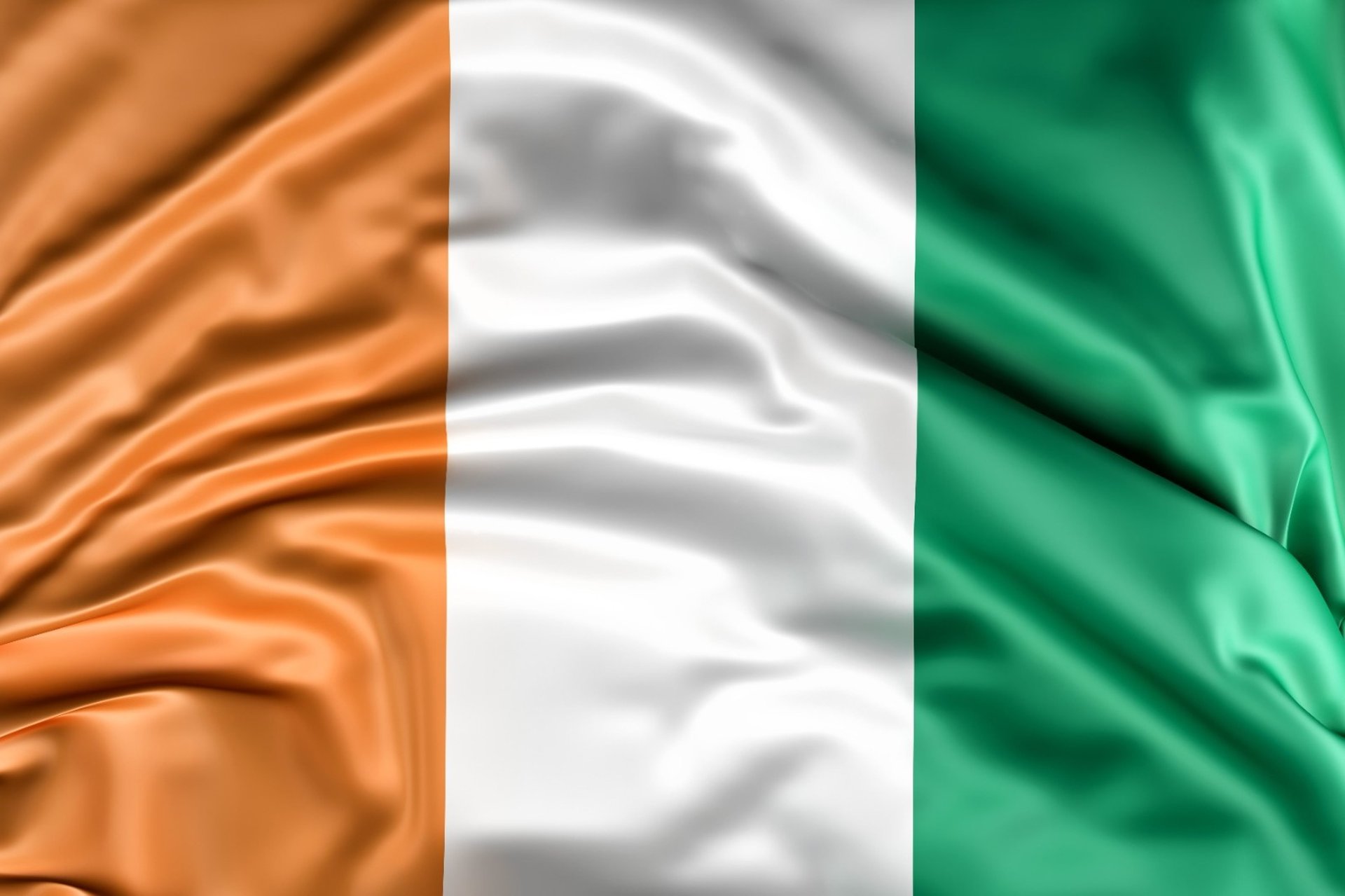 people walking on street