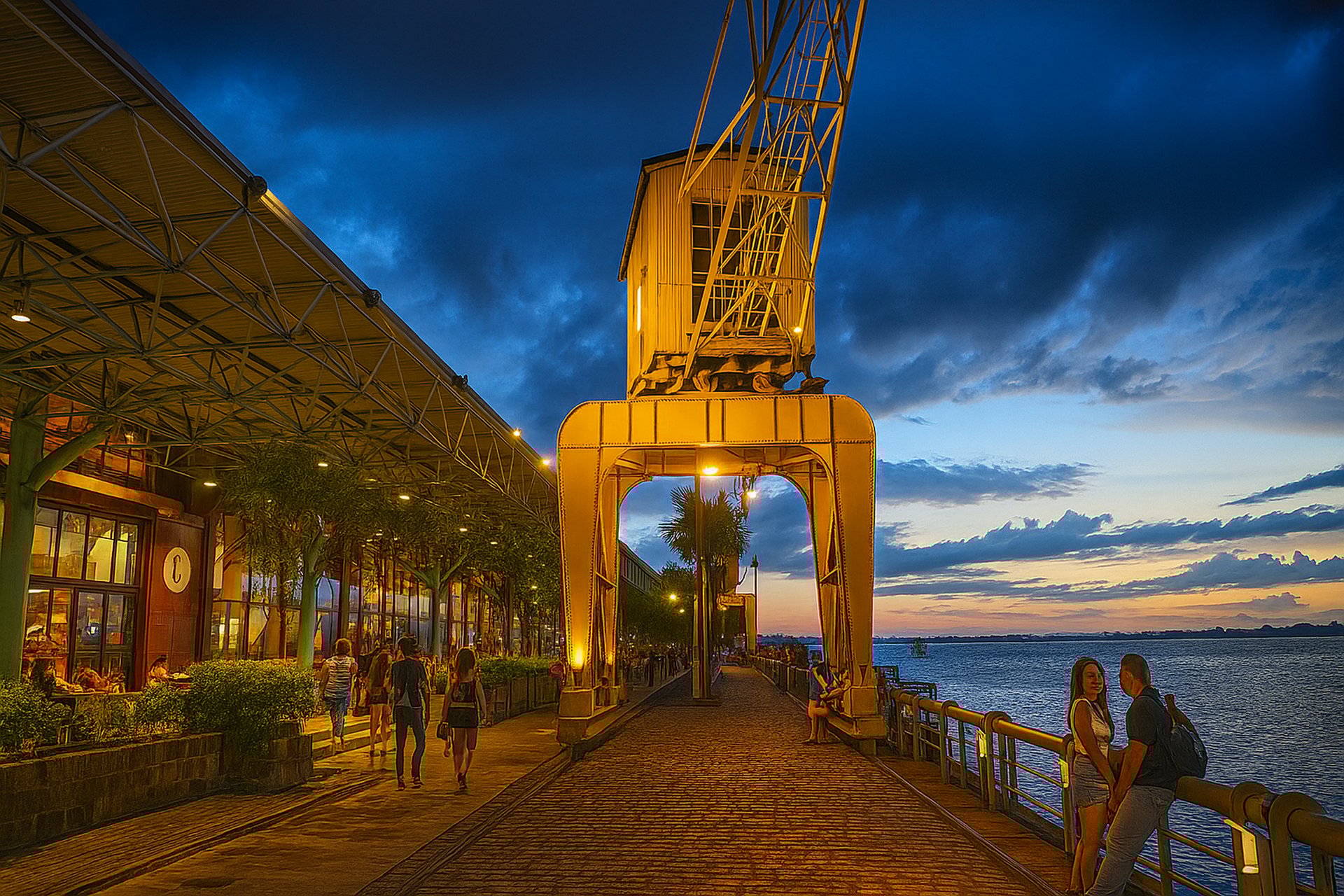 a plane flying in the sky with a tree in the foreground