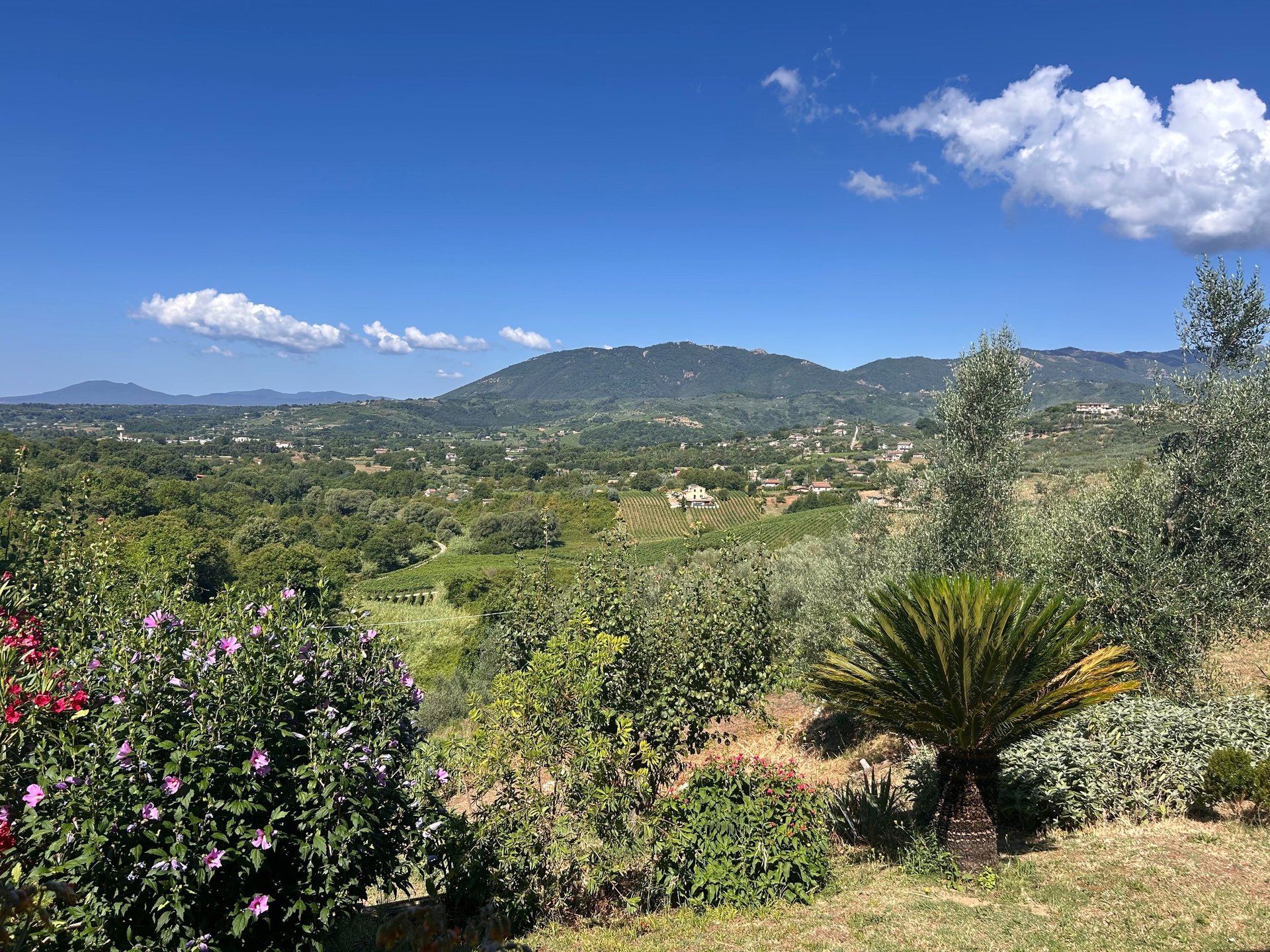 an abstract photo of a curved building with a blue sky in the background
