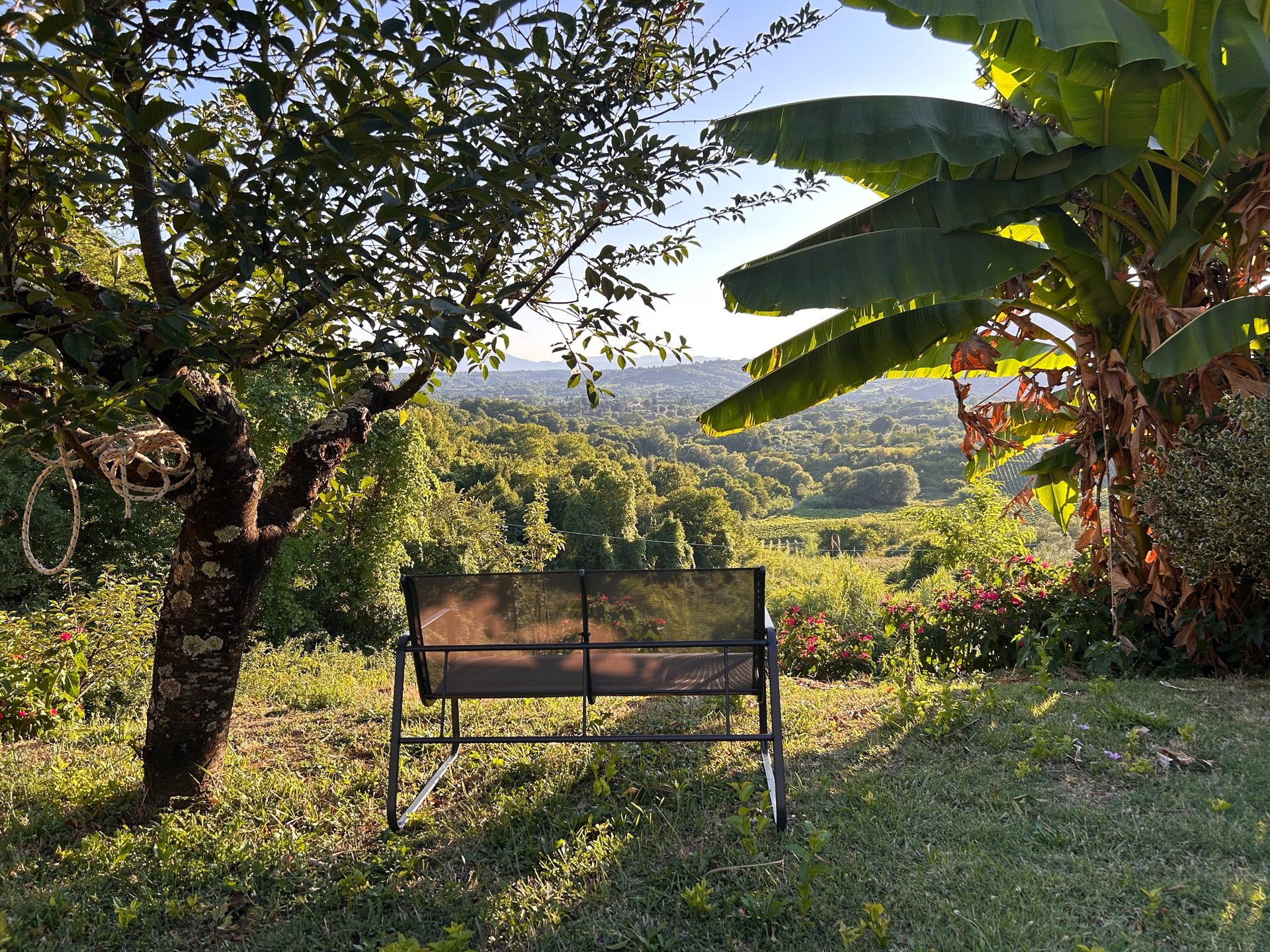an abstract photo of a curved building with a blue sky in the background