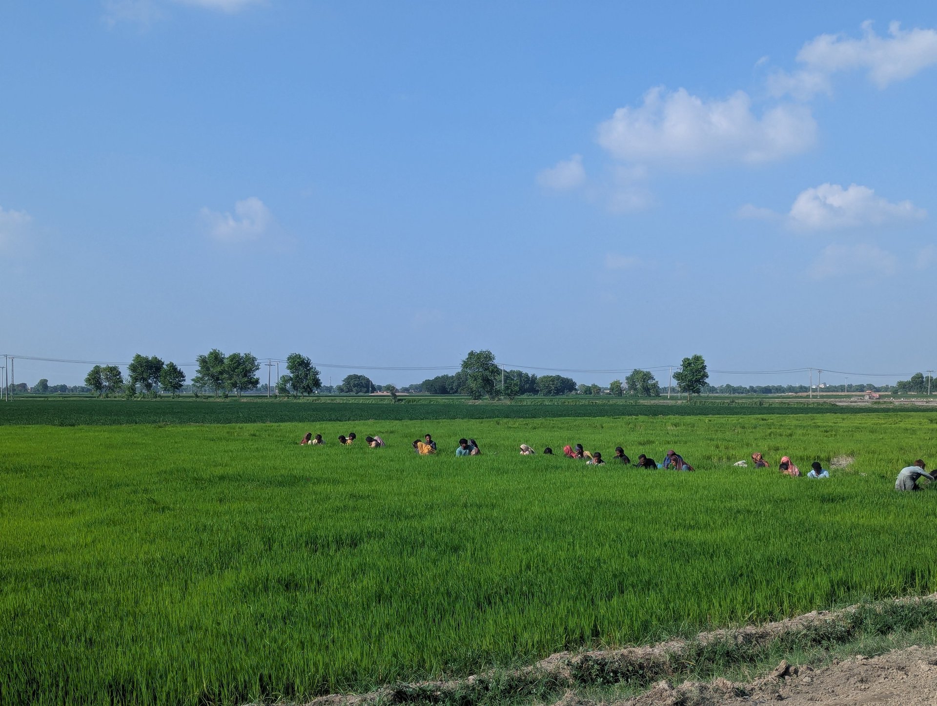 black and brown leather padded tub sofa