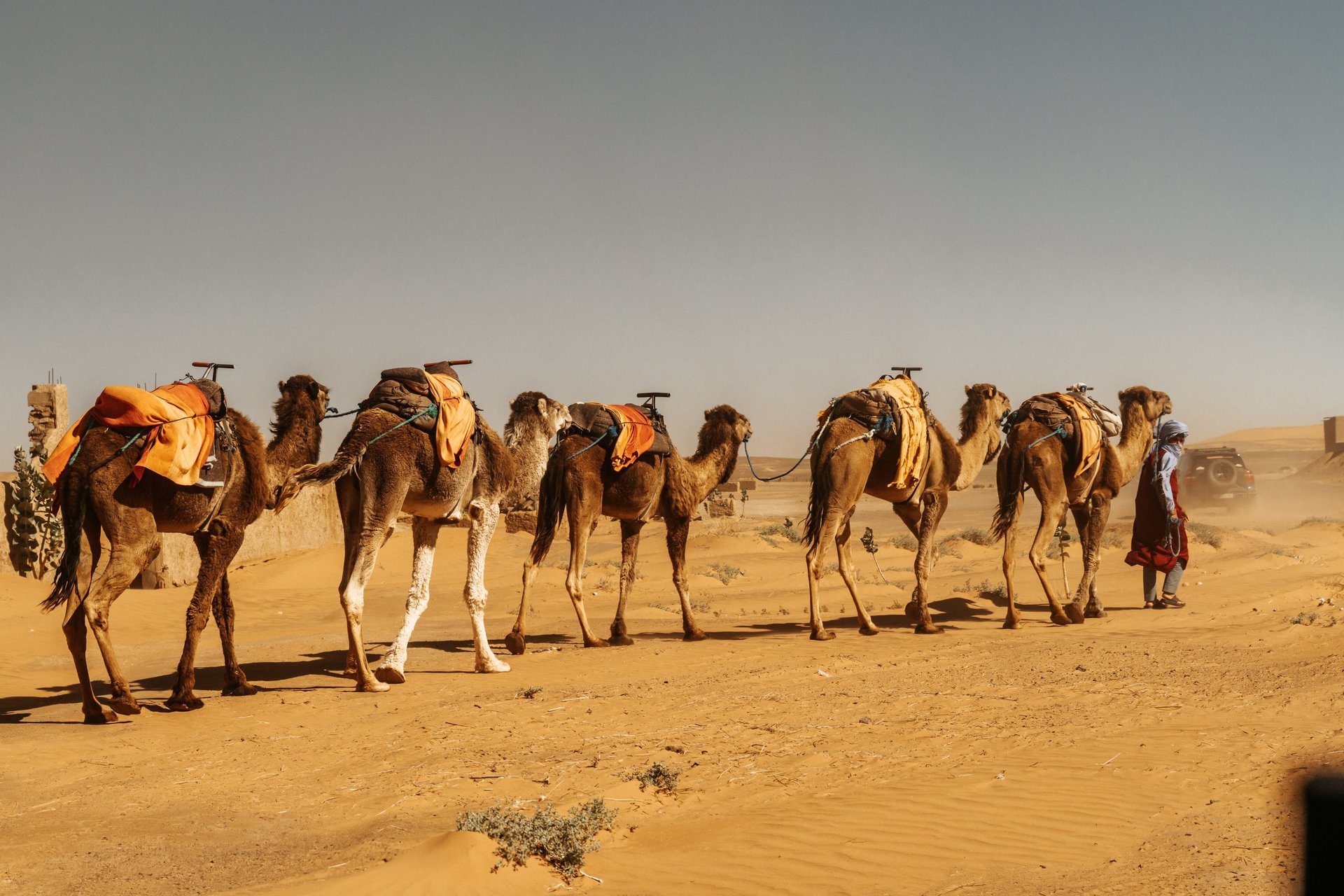 black blue and yellow textile