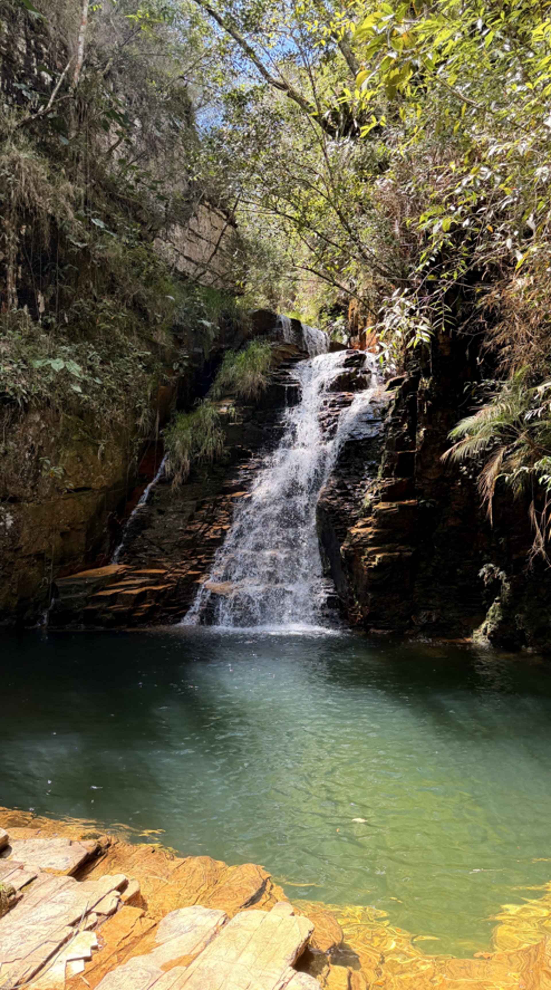 black blue and yellow textile