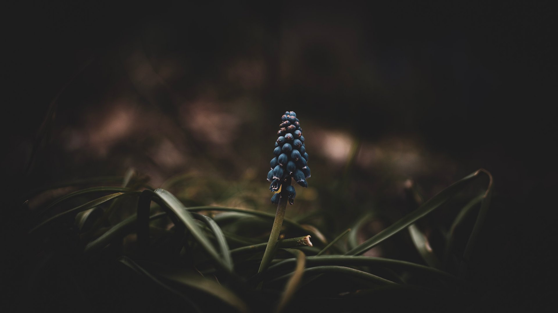 woman wearing yellow long-sleeved dress under white clouds and blue sky during daytime