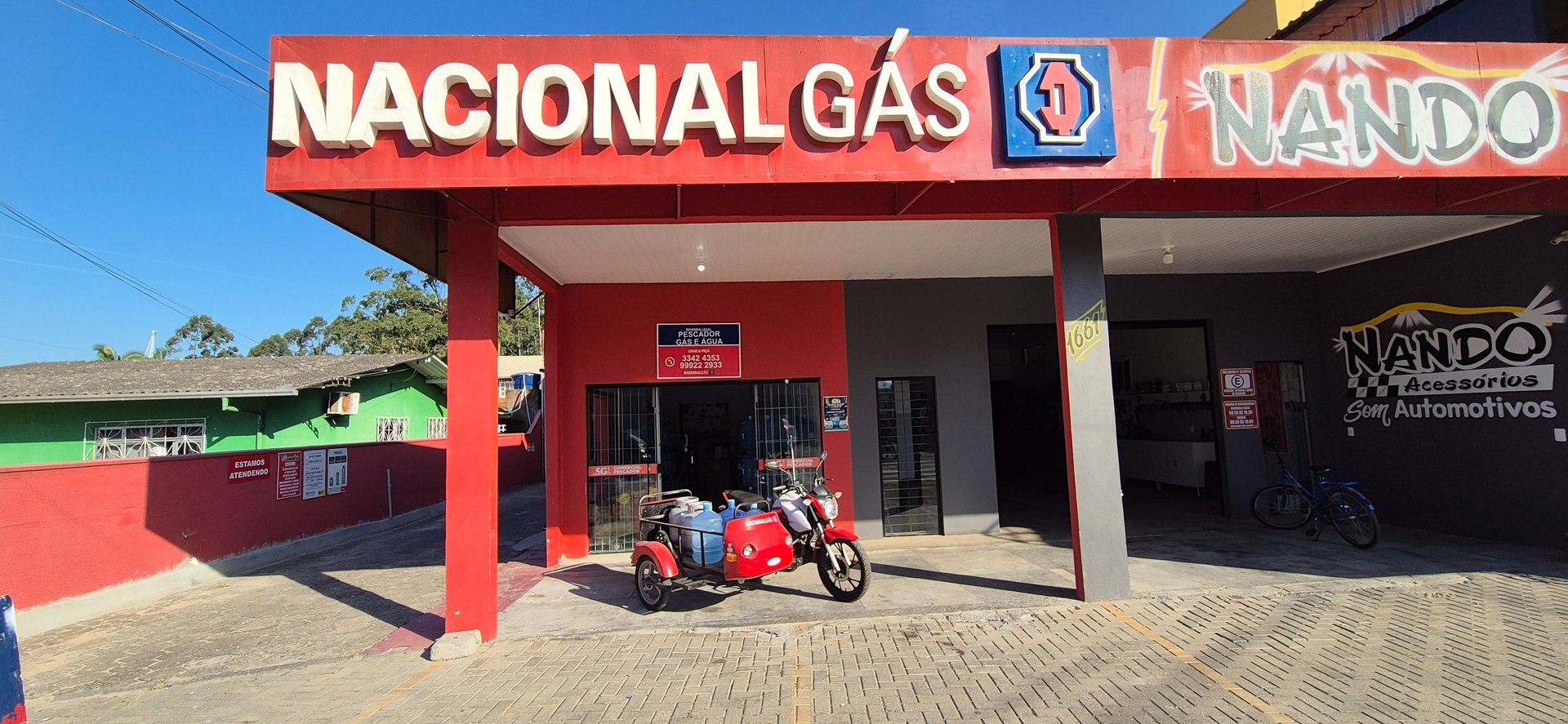 woman holding dried flower