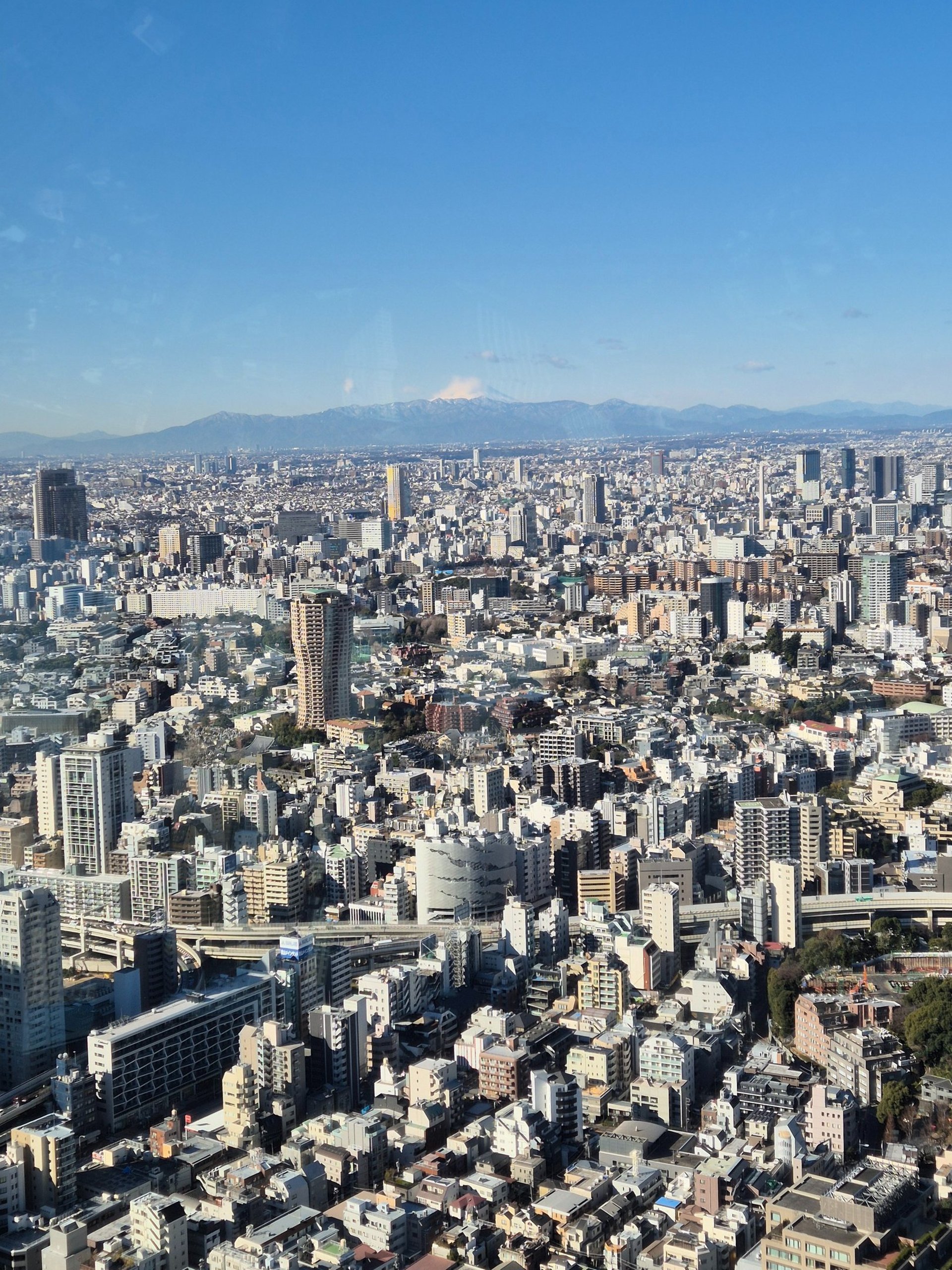a close up of a black and brown abstract painting
