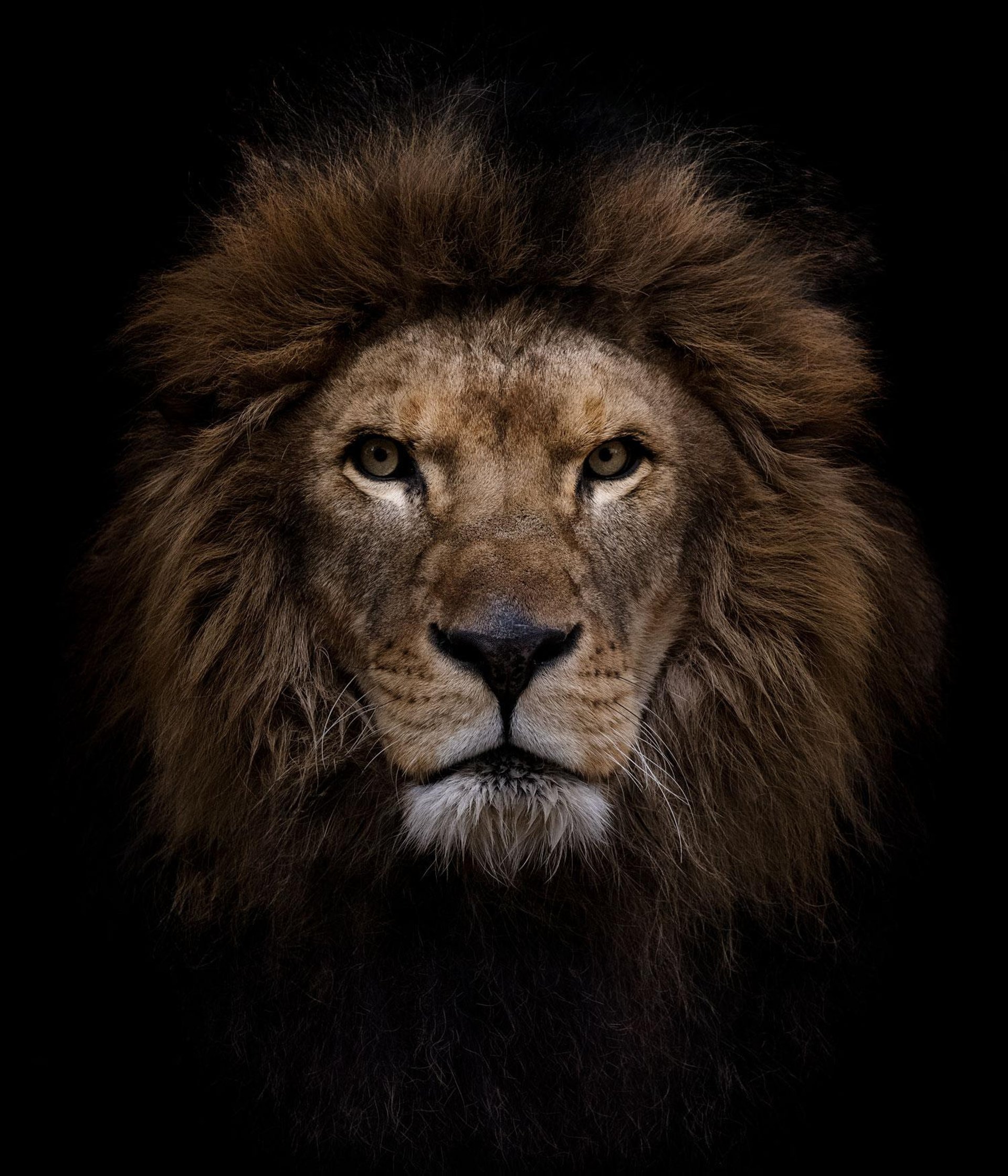 blue and white smoke illustration