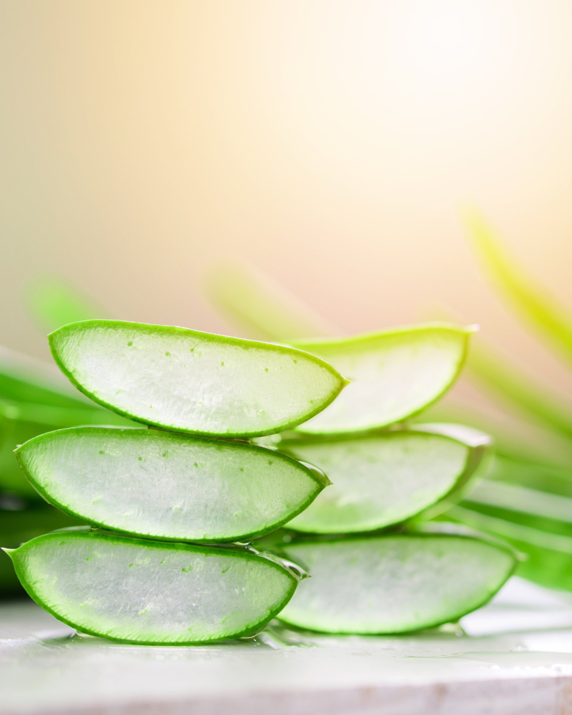 an abstract photo of a curved building with a blue sky in the background