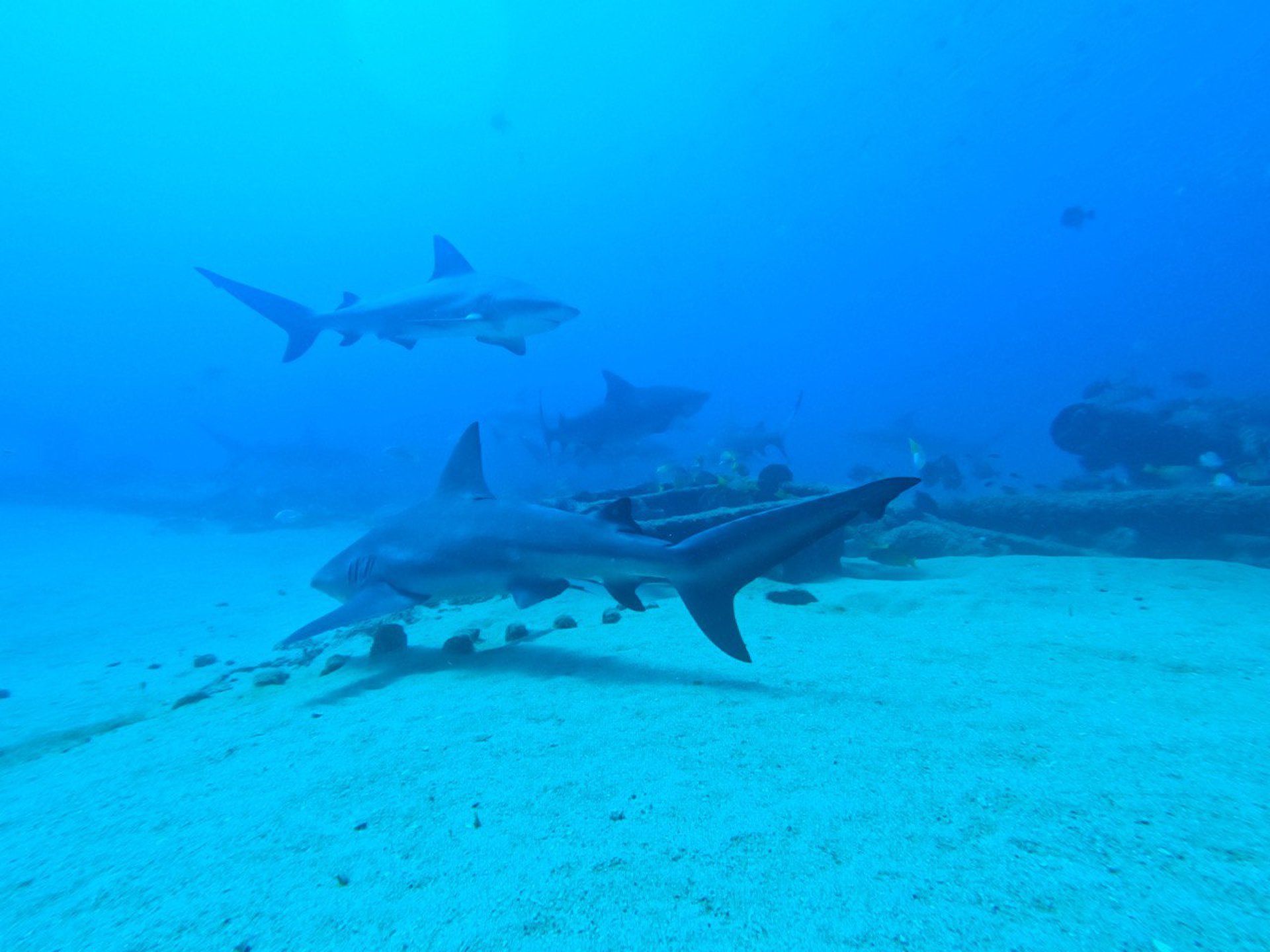 an abstract photo of a curved building with a blue sky in the background