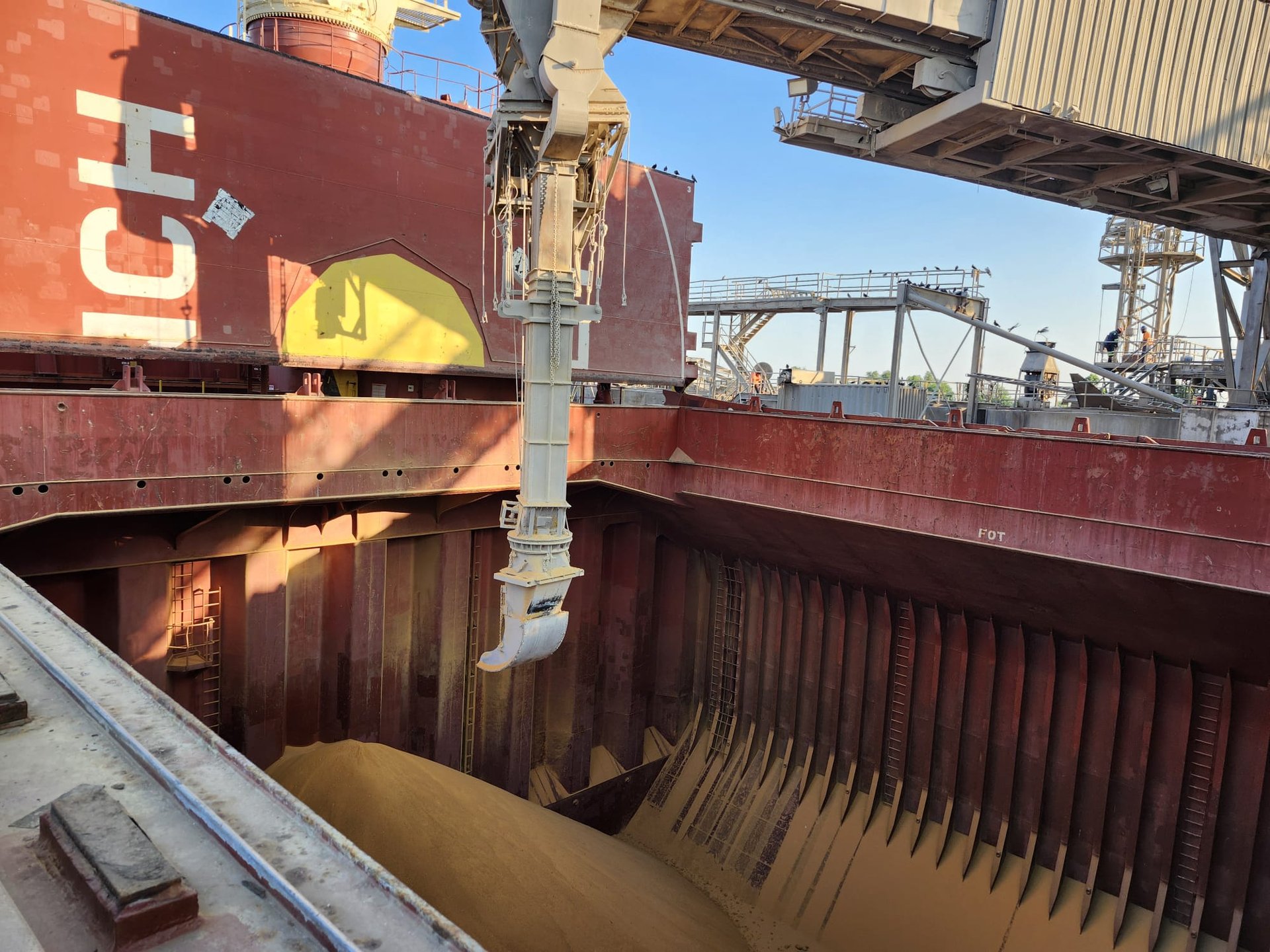 Cargo Survey Consult Maritime LLC