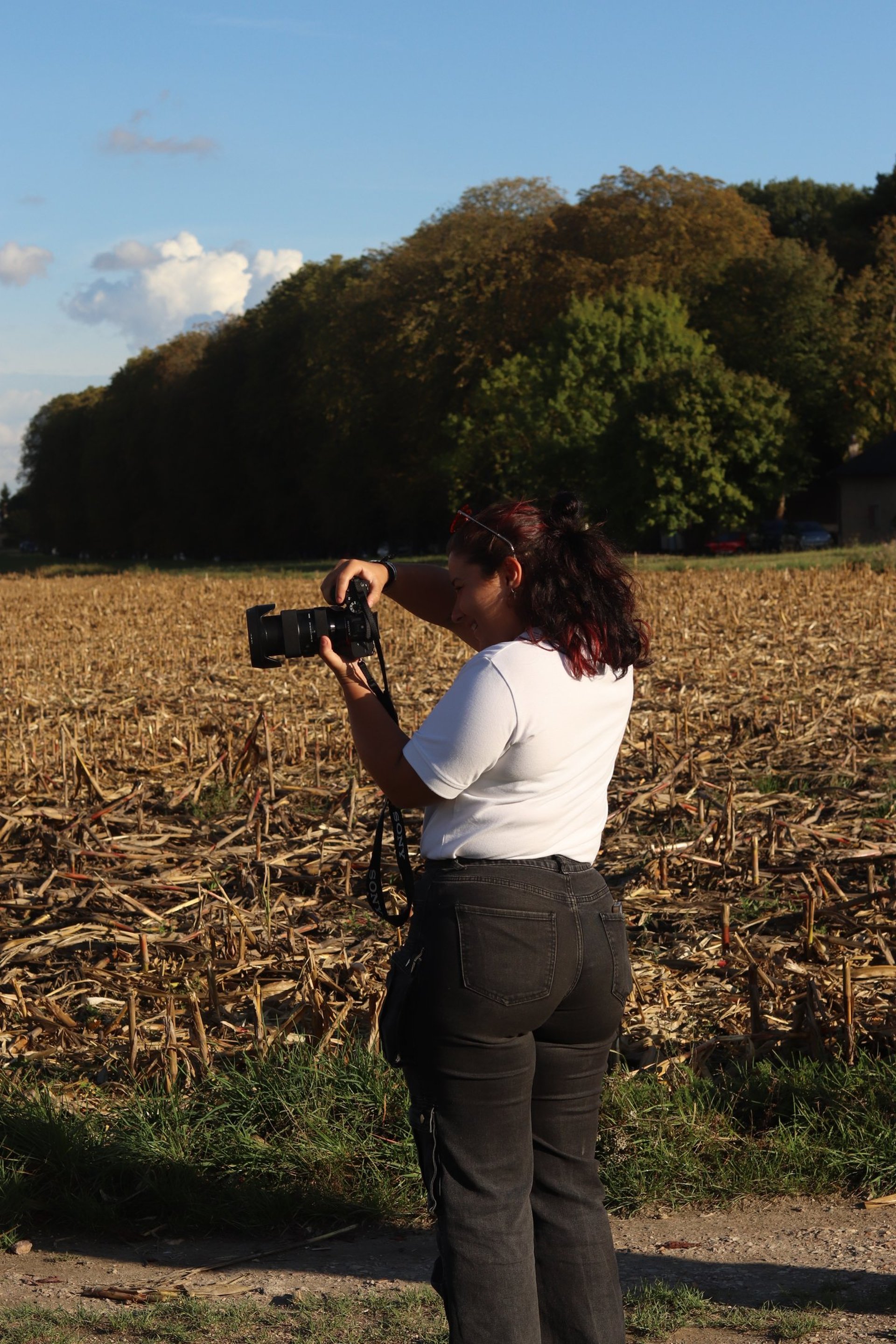 black blue and yellow textile