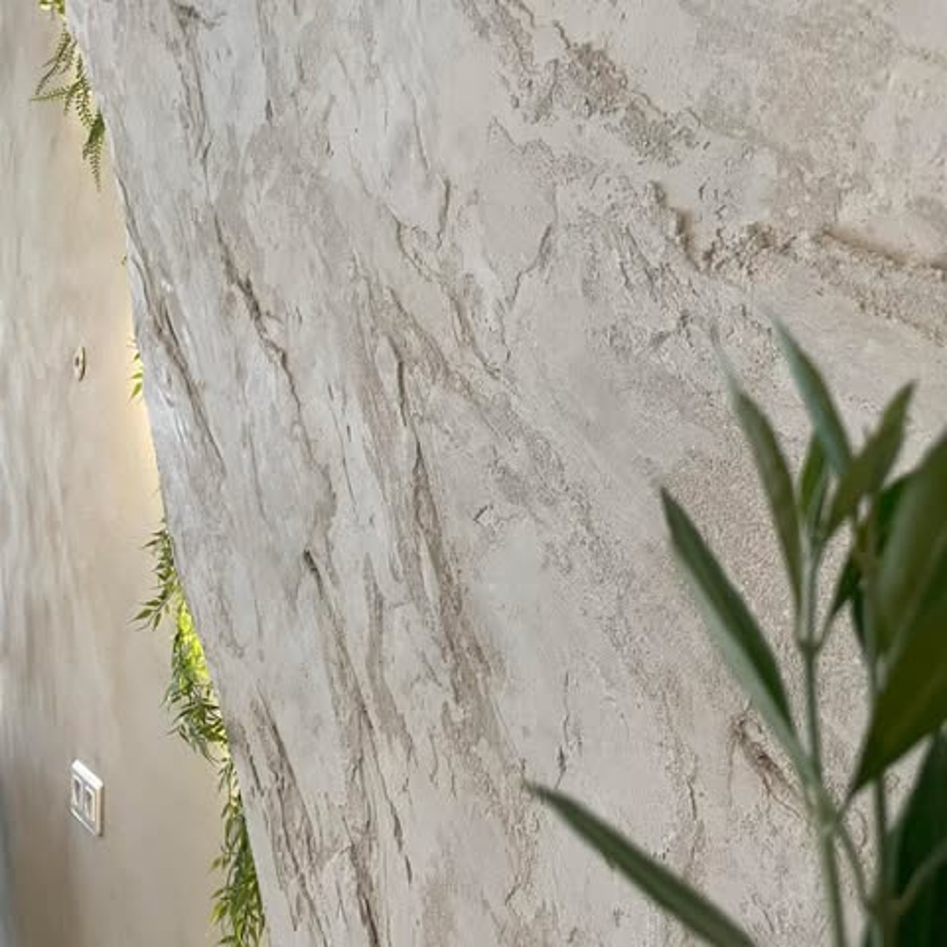 forest heat by sunbeam