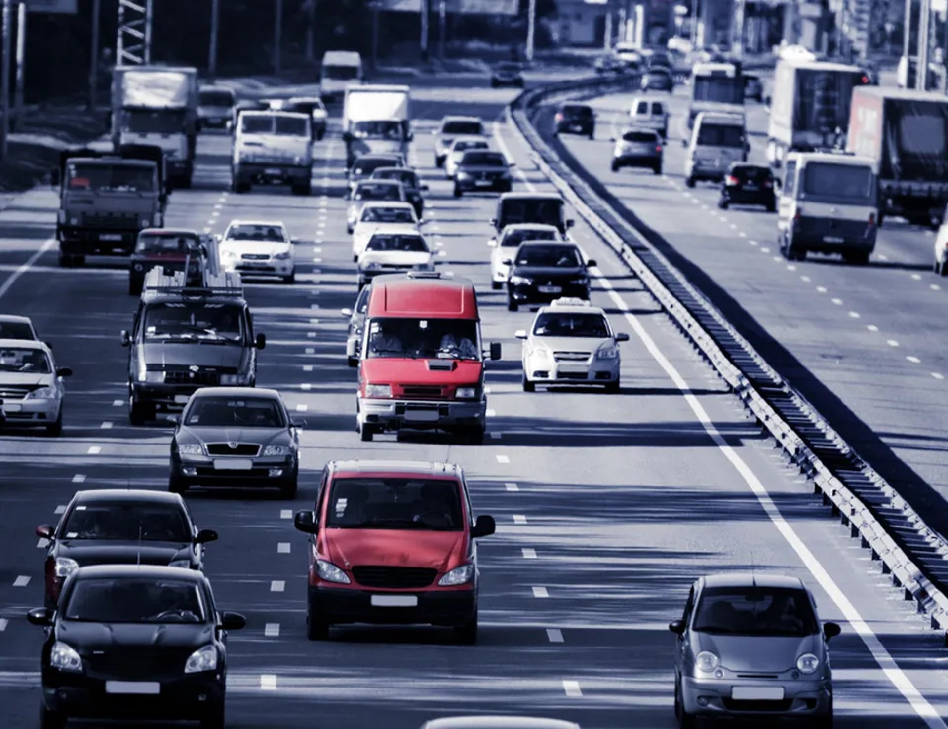 a tree on the side of a road