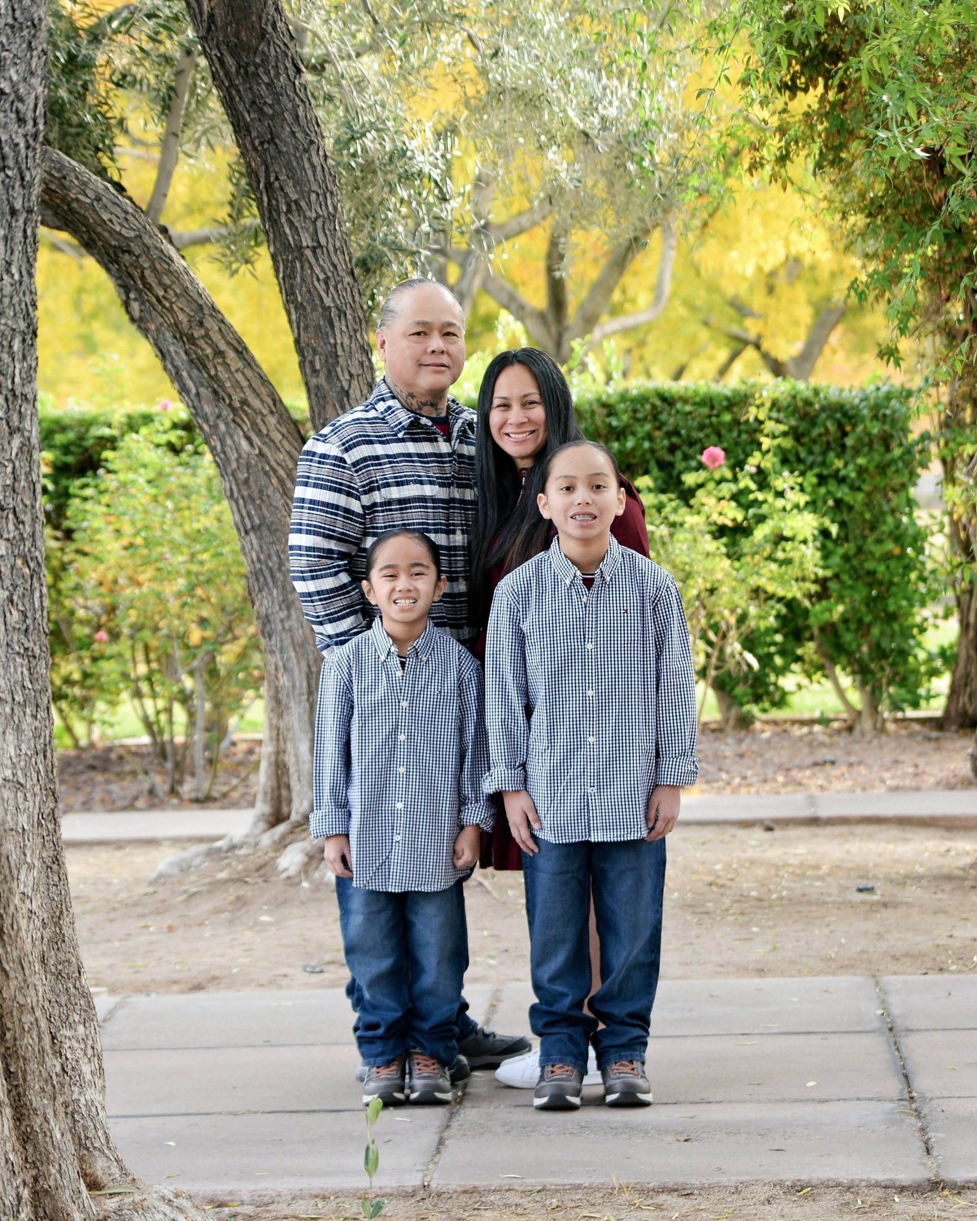 string lights on tree during daytime