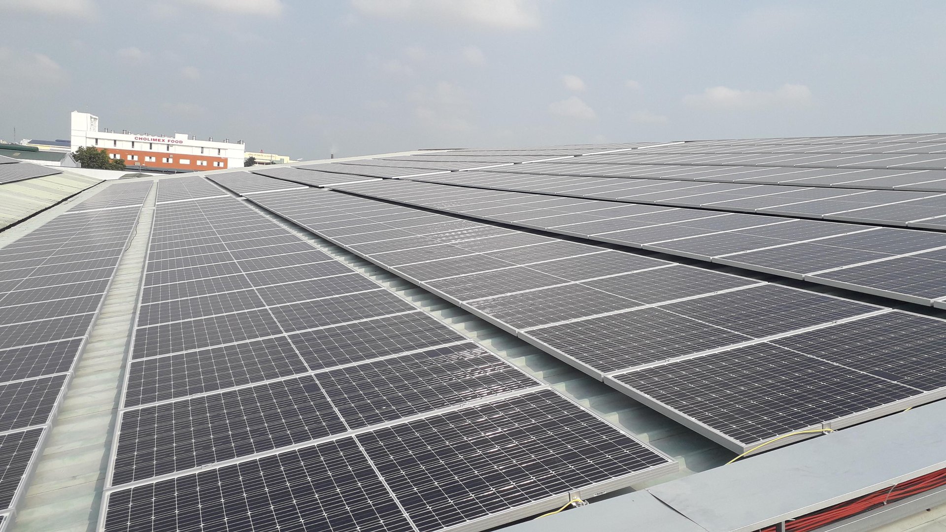 woman wearing yellow long-sleeved dress under white clouds and blue sky during daytime