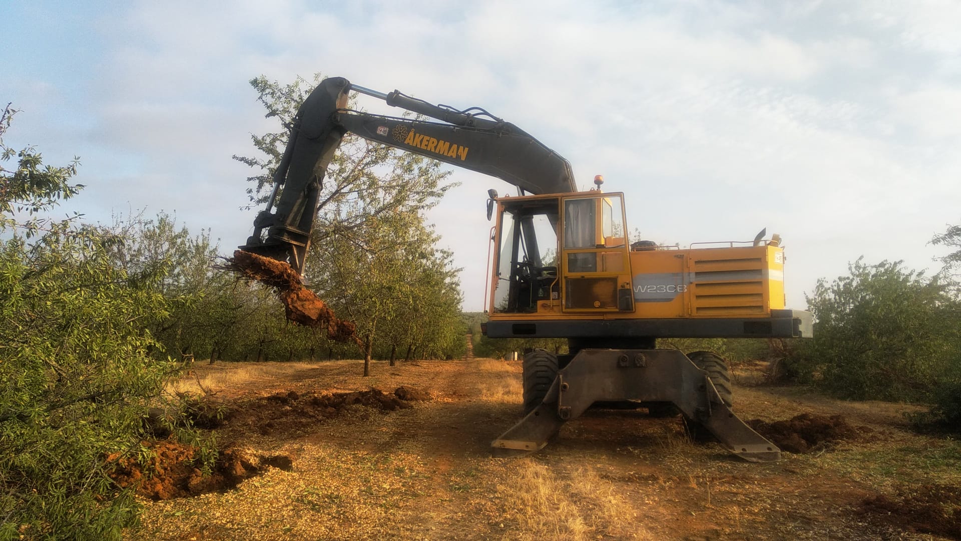 a row of yellow and blue construction machines