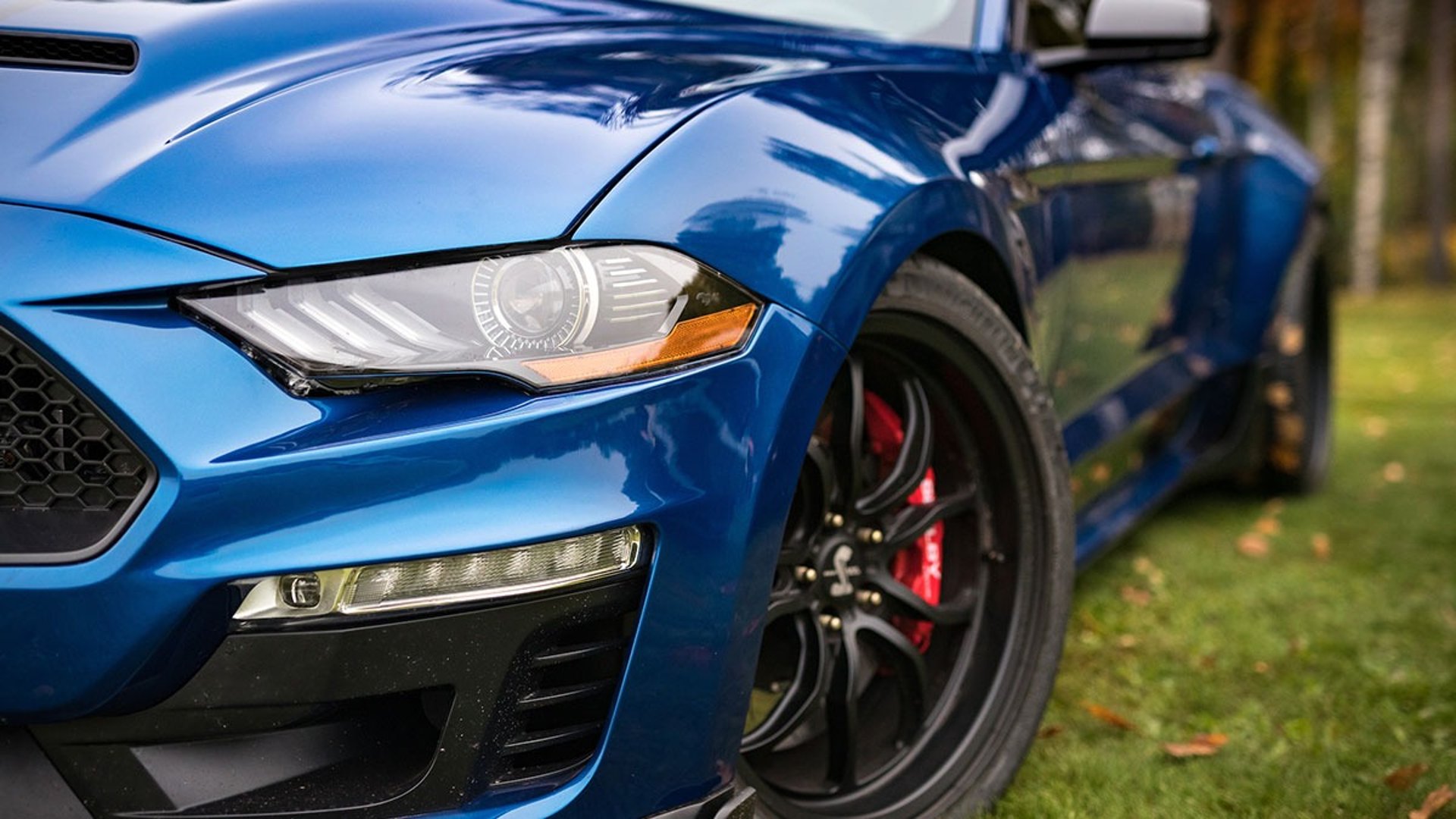 AMSOIL Sports Car Blue