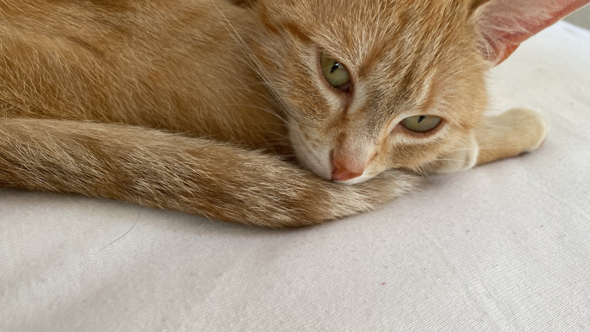 an abstract photo of a curved building with a blue sky in the background