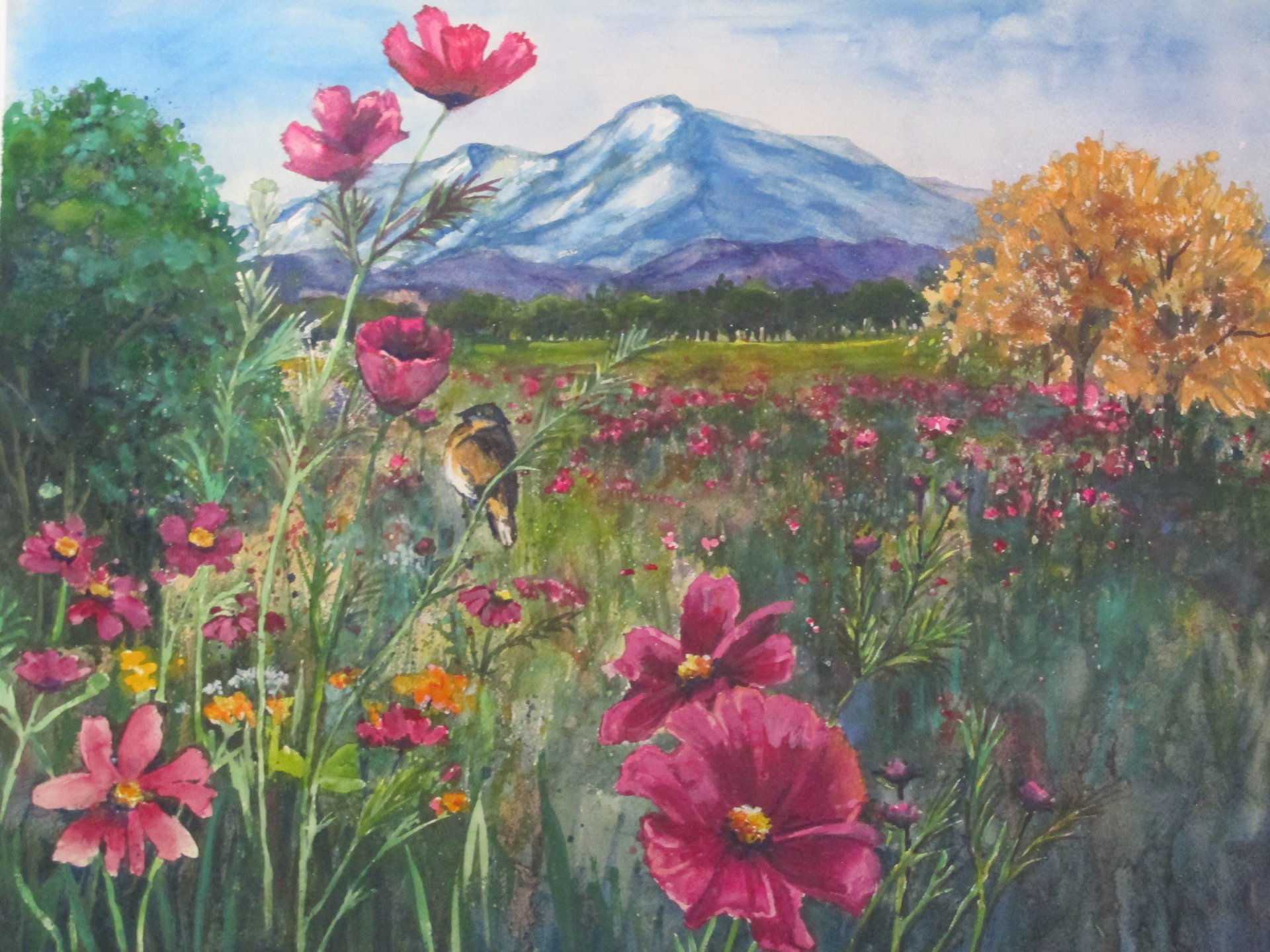 Jan Gibson Multimedia Artist janicegibson1@comcast.net