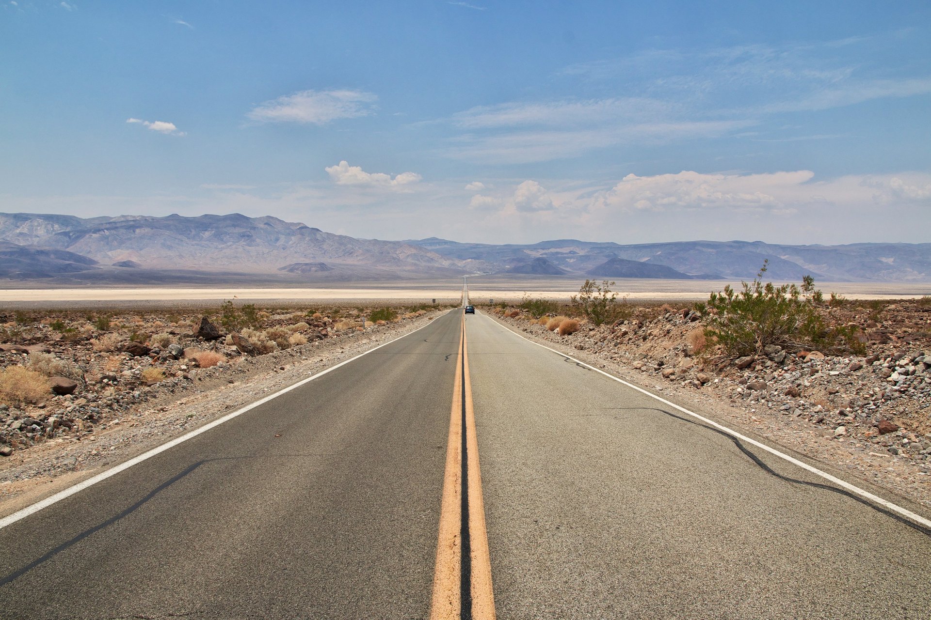 black and white bed linen