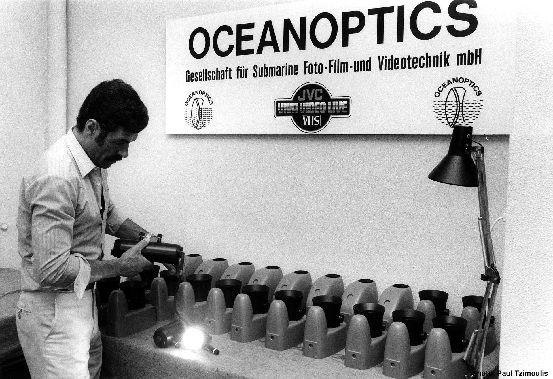 green corals under water
