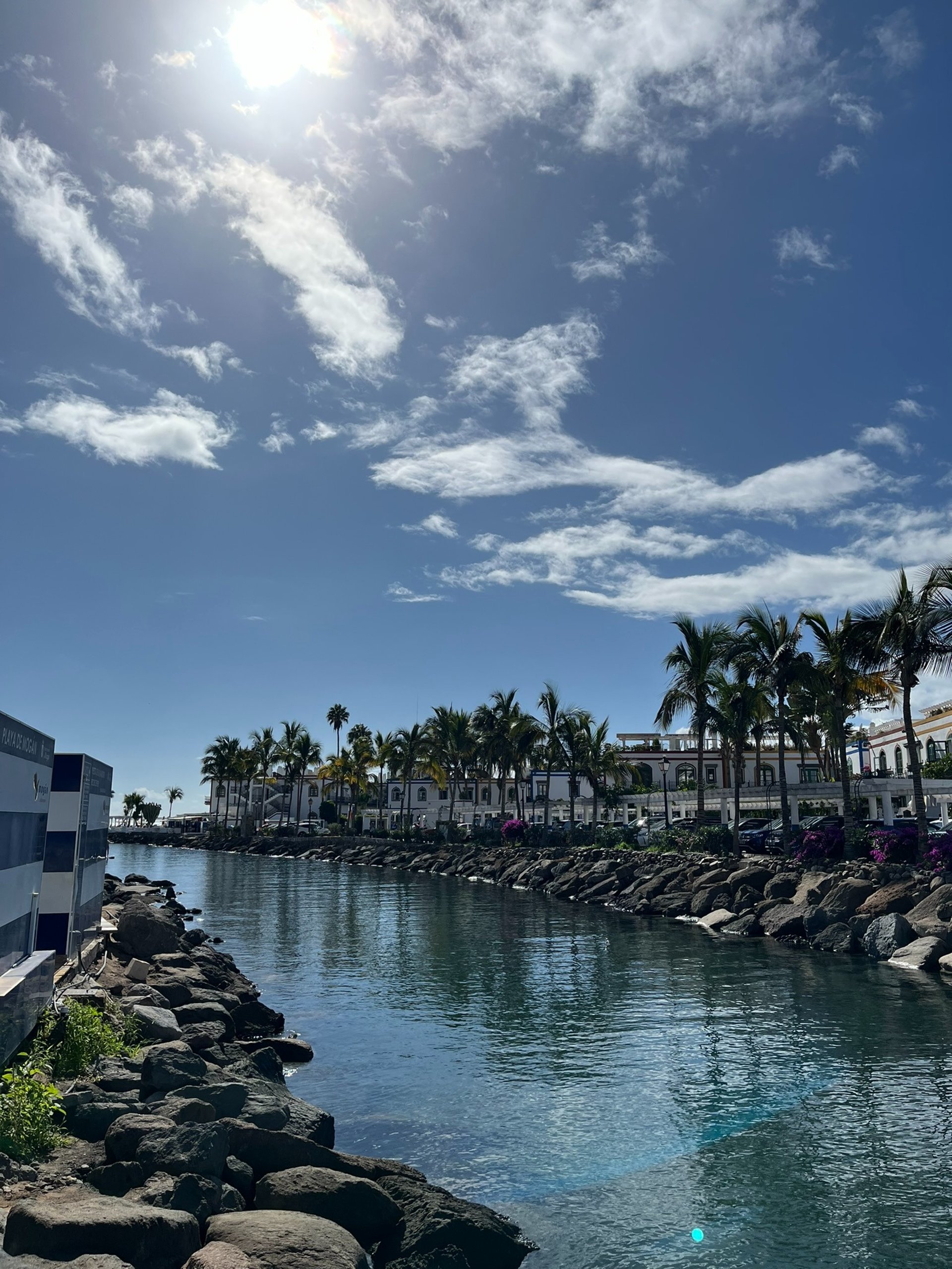 city skyline near body of water during daytime