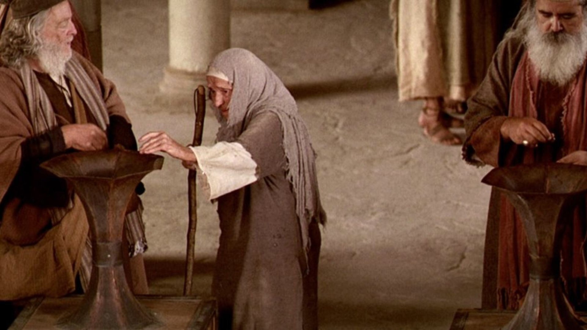 brown leafed tree near bed of yellow flowers