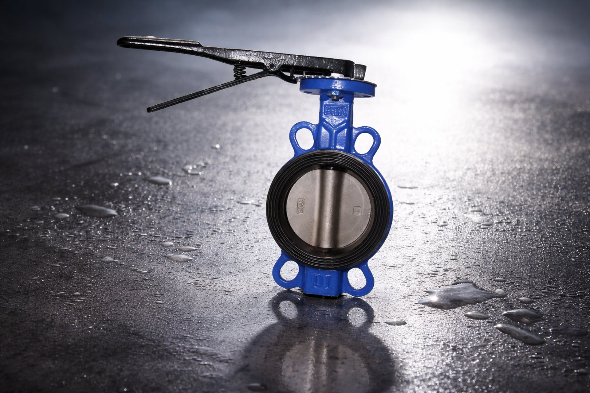 Ceto Butterfly Valve