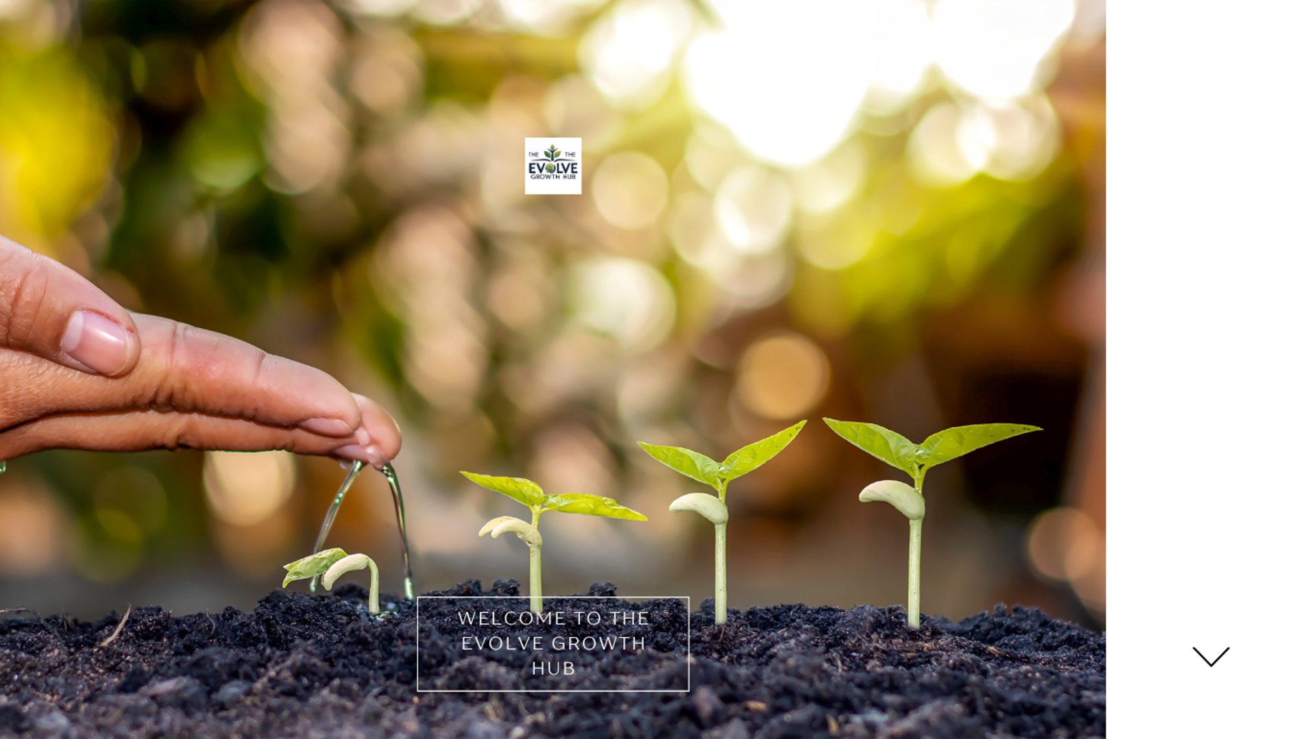 an abstract photo of a curved building with a blue sky in the background