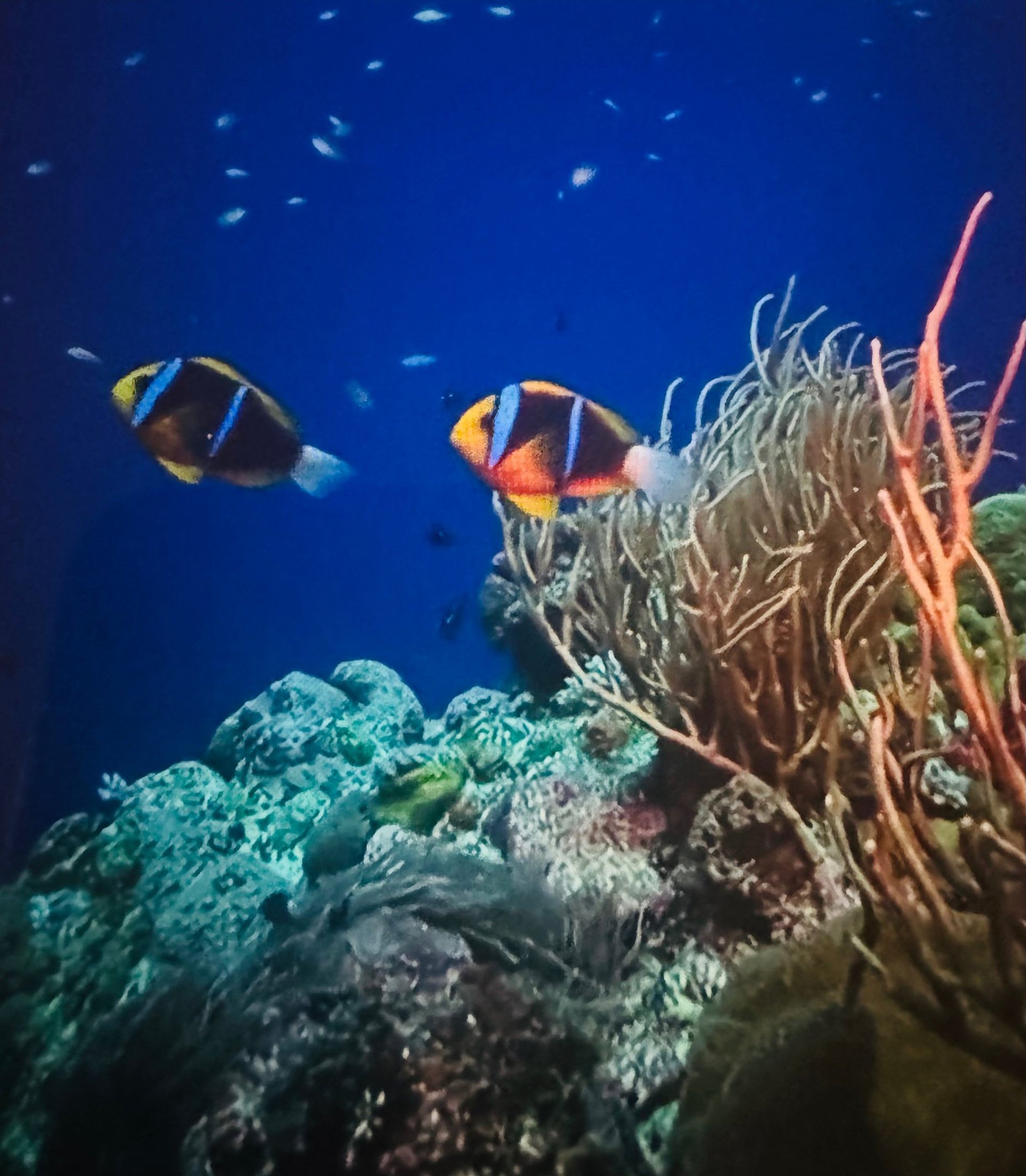 an abstract photo of a curved building with a blue sky in the background