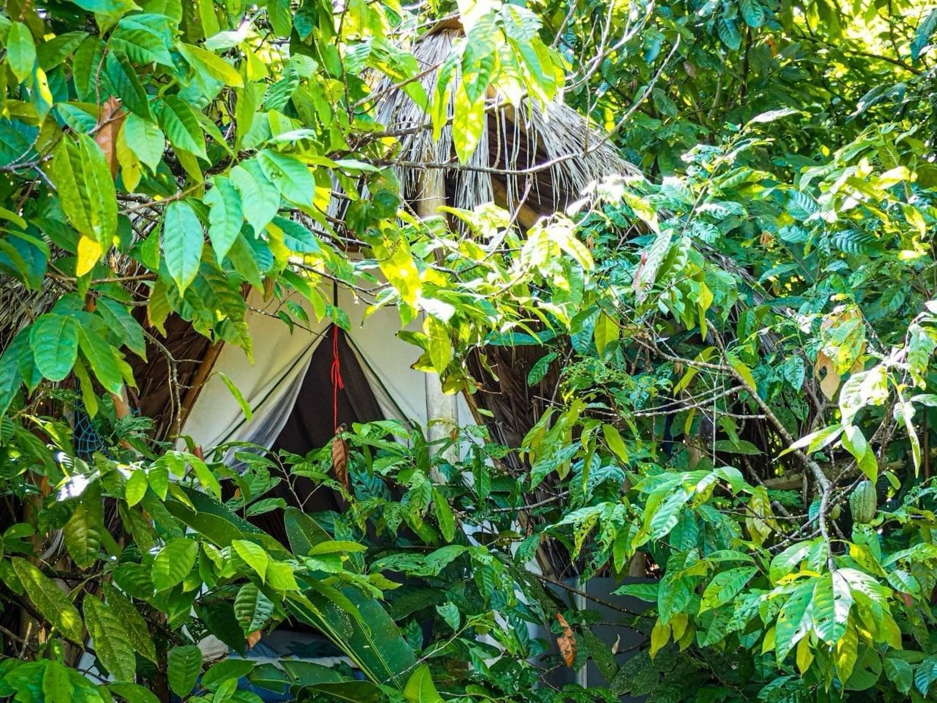 woman wearing yellow long-sleeved dress under white clouds and blue sky during daytime