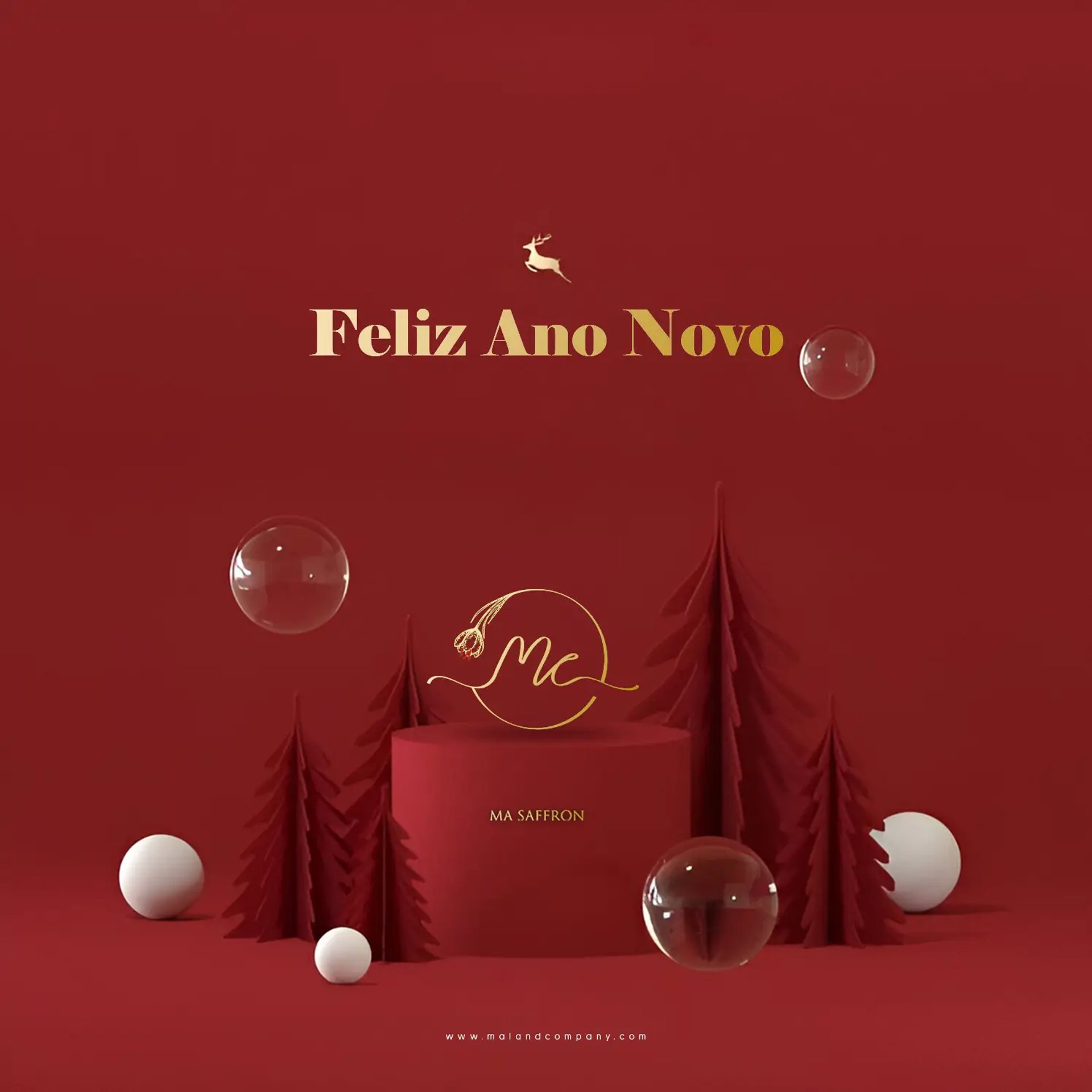 ma saffron-acafrao-ano-novo