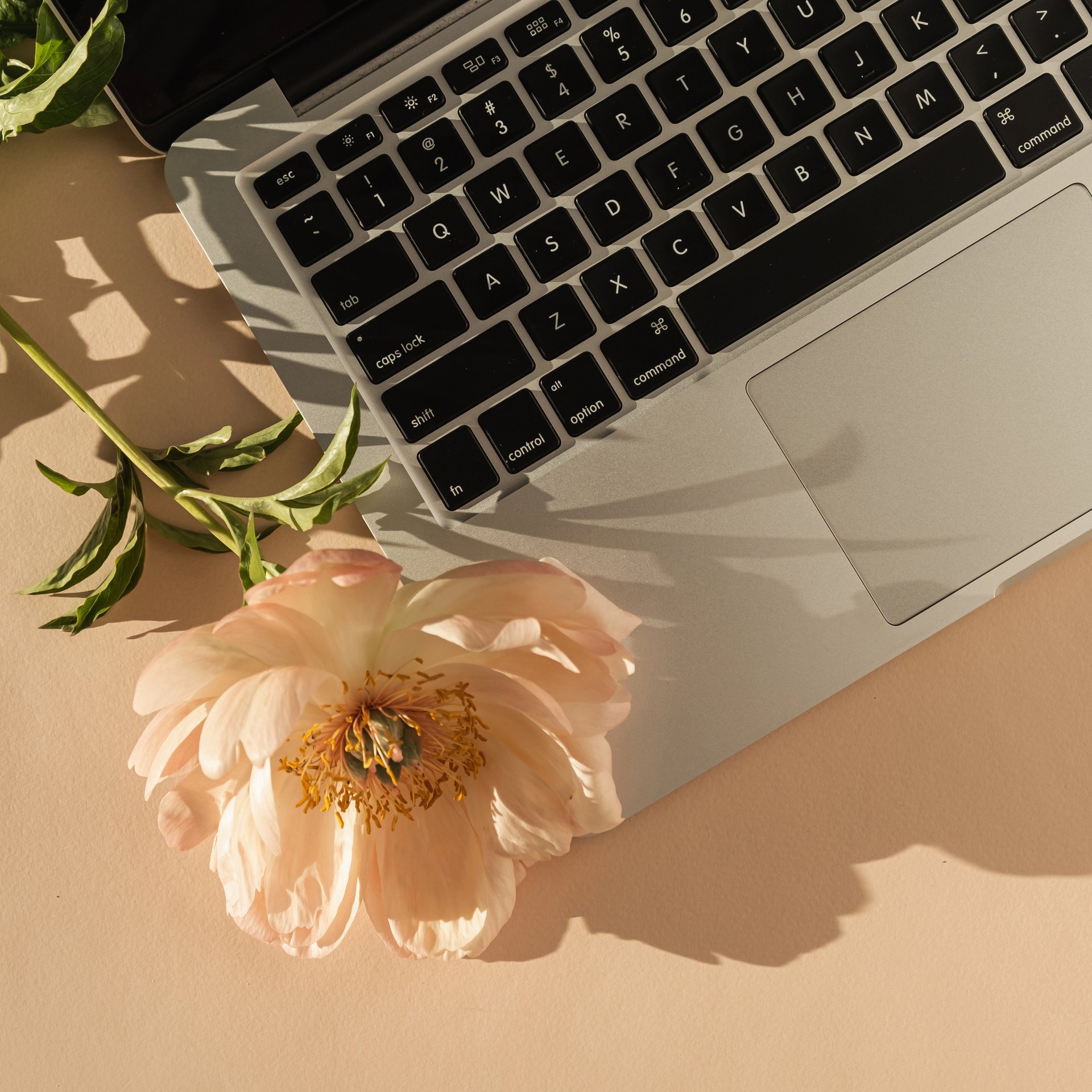 closeup photo of white and black laptop computer