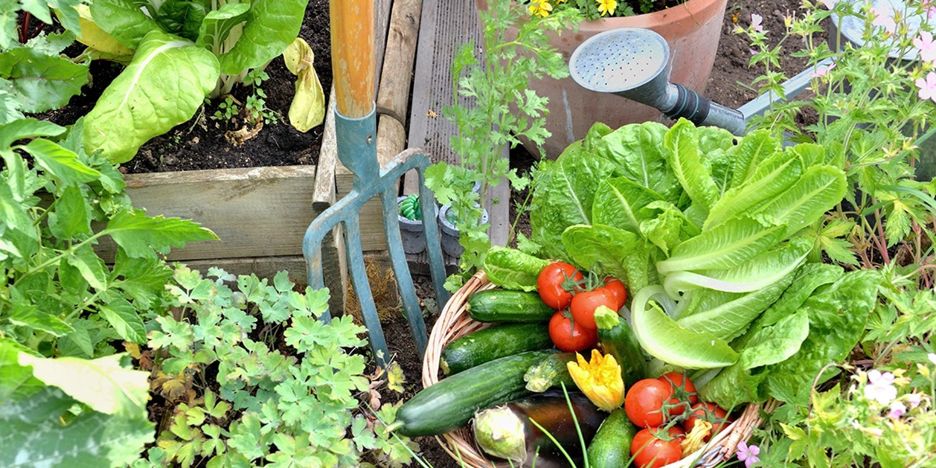 black and brown leather padded tub sofa
