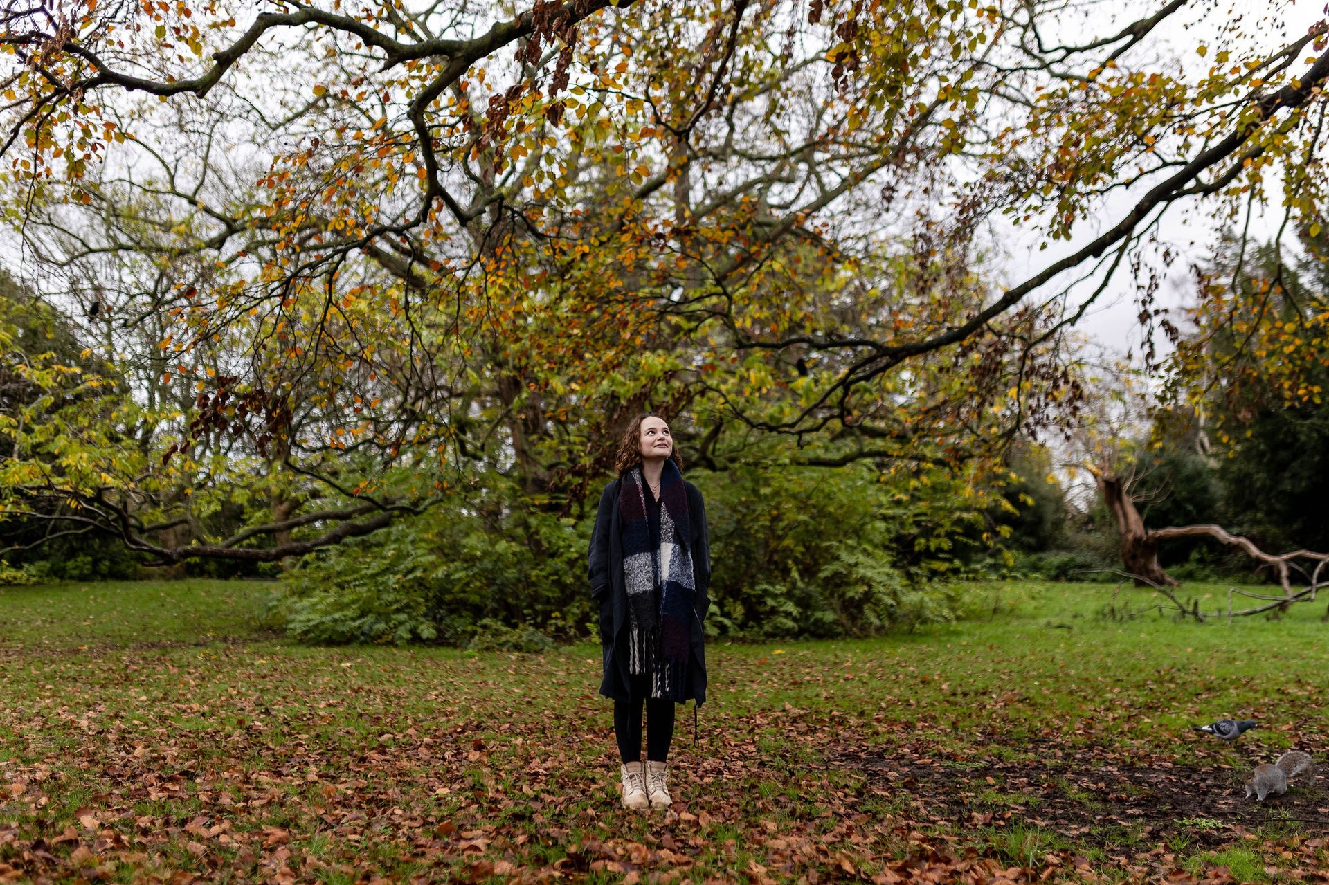 an abstract photo of a curved building with a blue sky in the background
